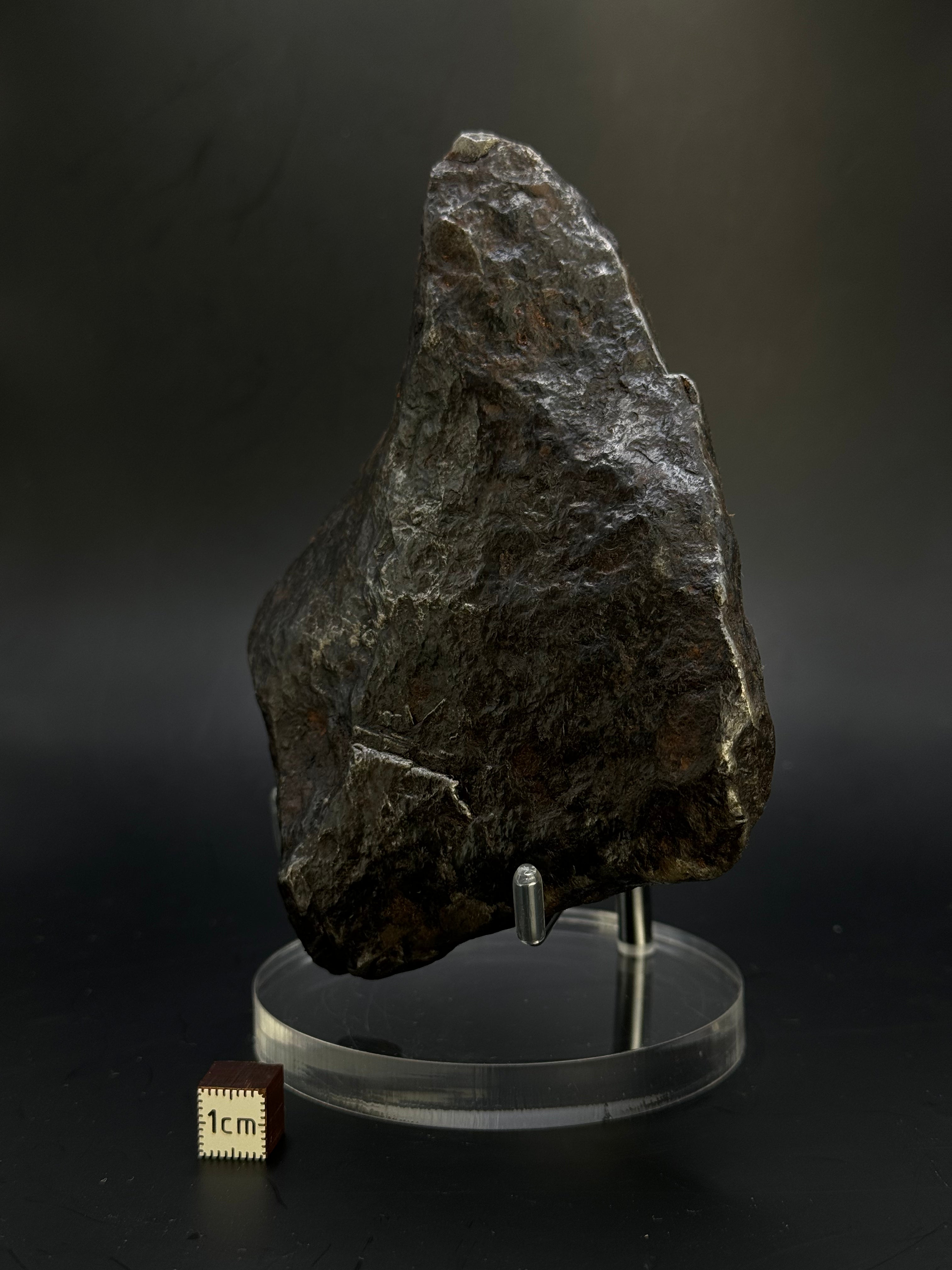 Muonionalusta Meteorite, Sweden. Full meteorite, 1705 grams.