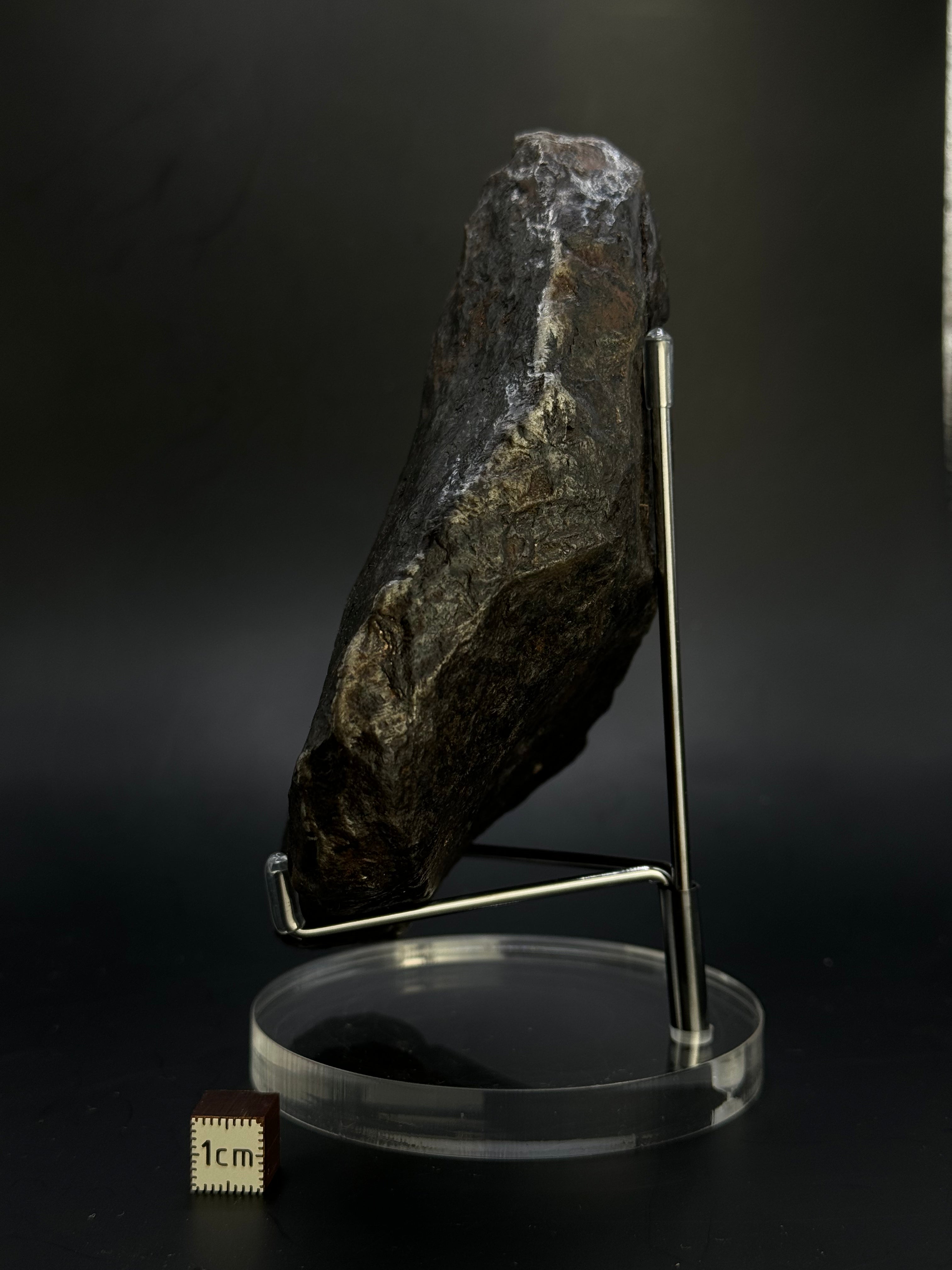 Muonionalusta Meteorite, Sweden. Full meteorite, 1705 grams.