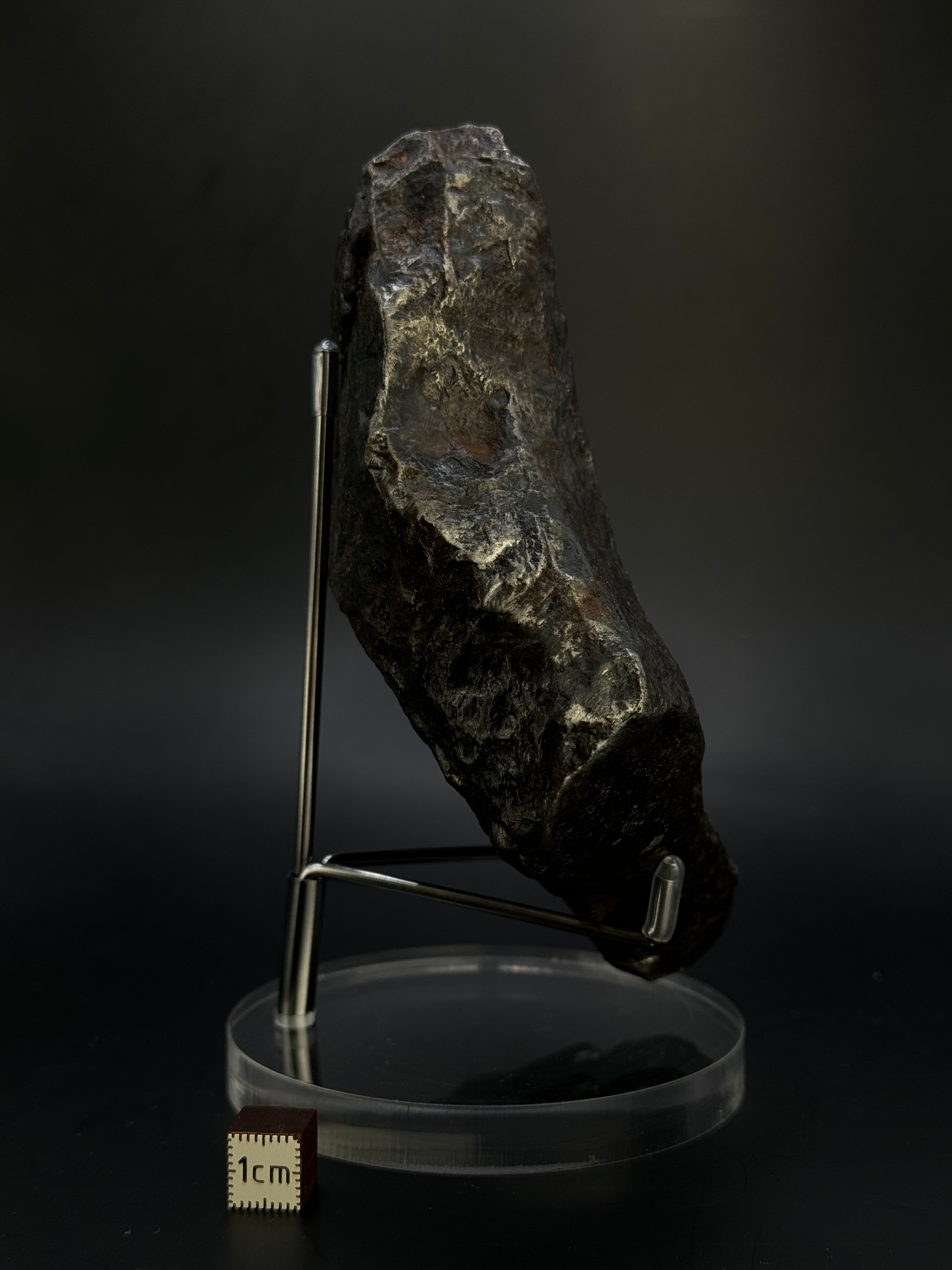 Muonionalusta Meteorite, Sweden. Full meteorite, 1705 grams.
