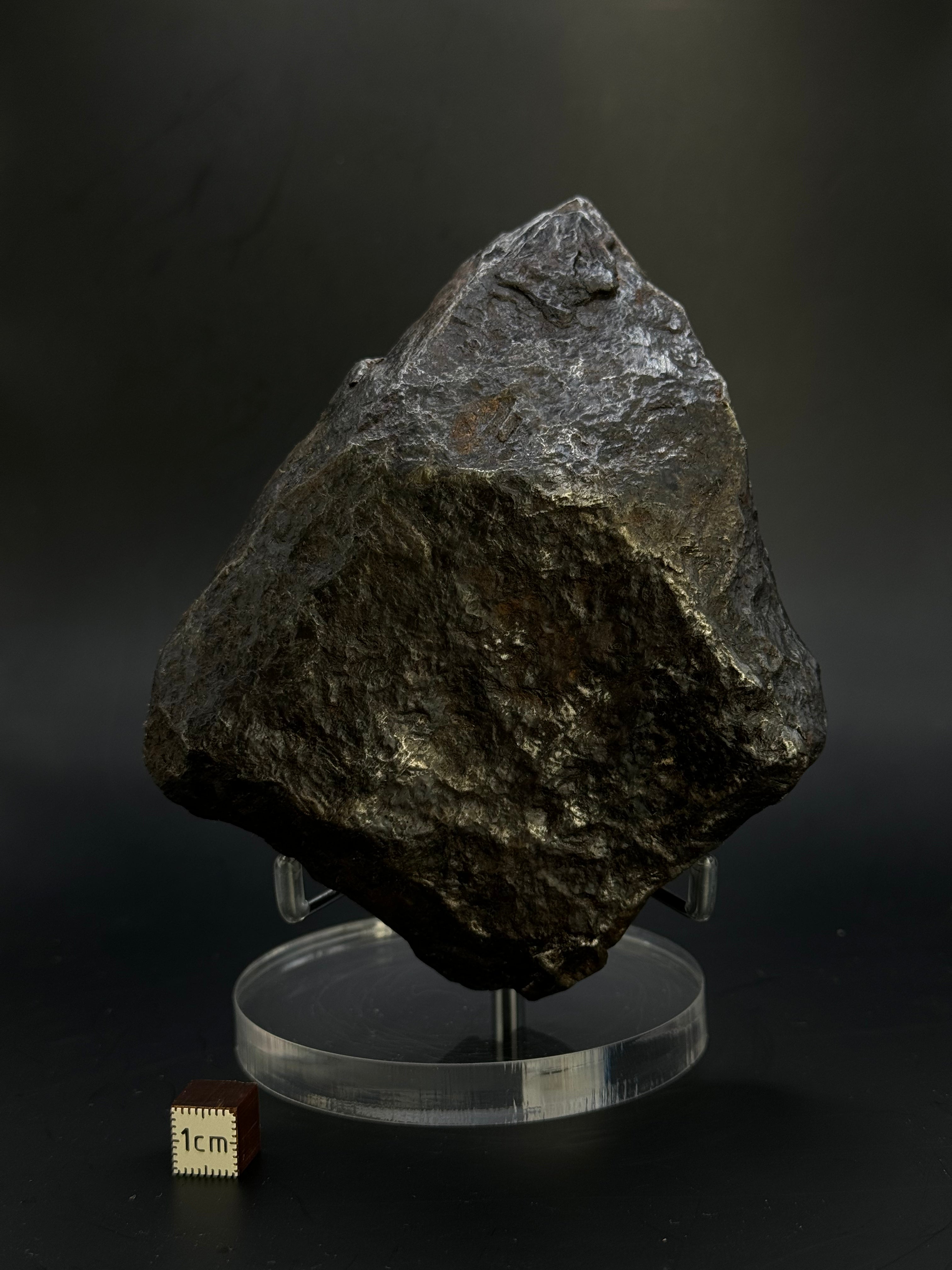 Muonionalusta Meteorite, Sweden. Full meteorite, 1705 grams.
