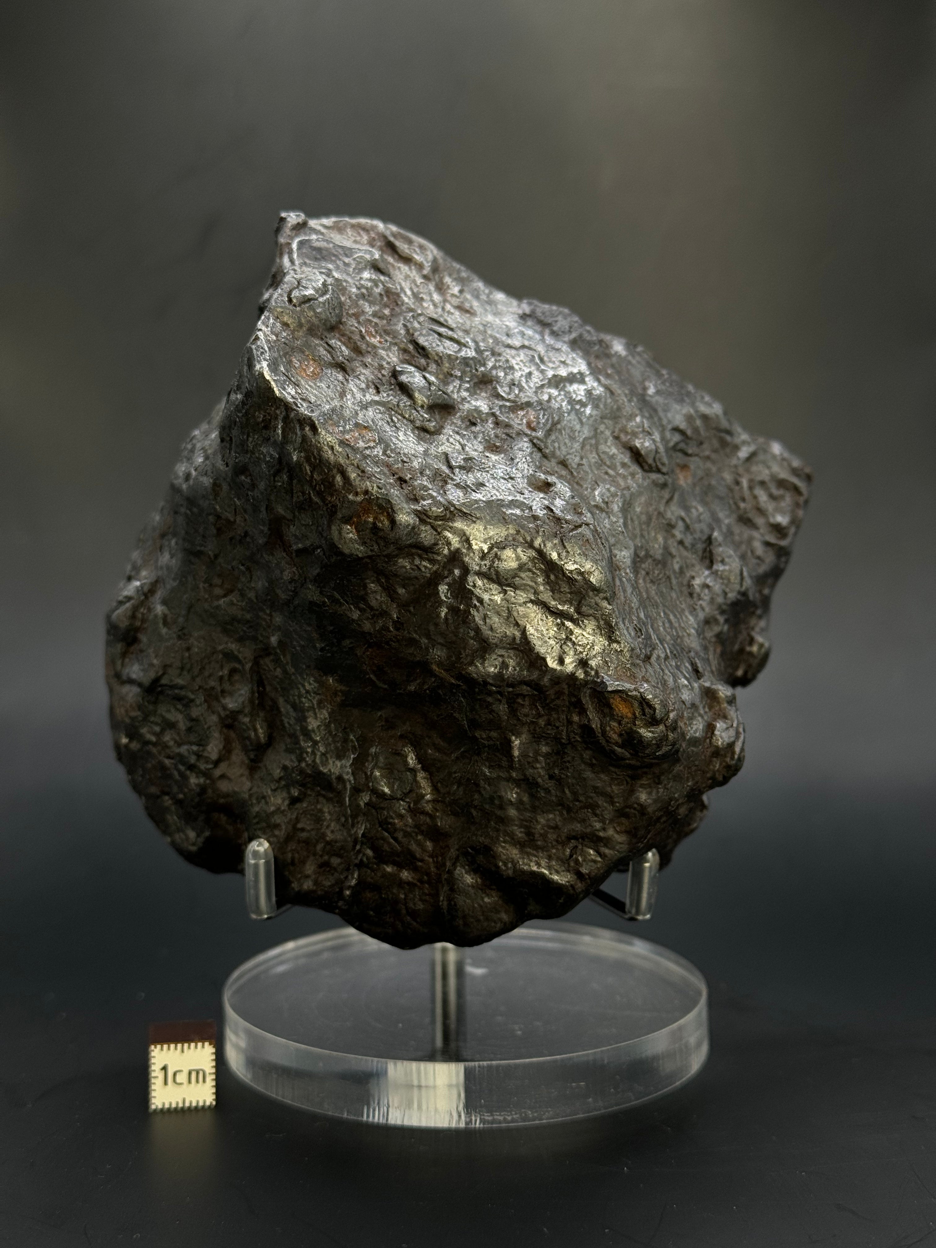 Muonionalusta Meteorite, Sweden. Full meteorite 2684 grams.