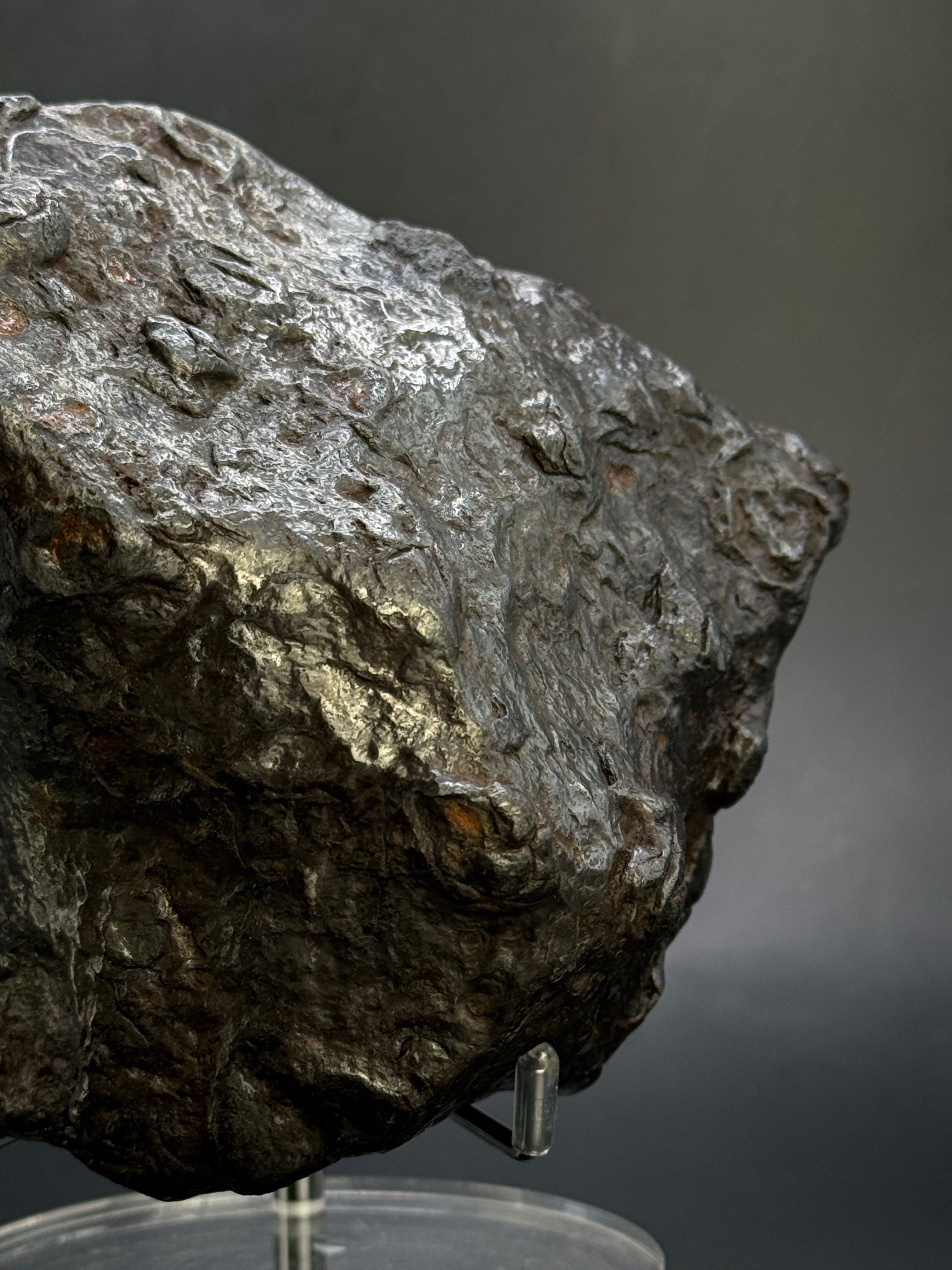 Muonionalusta Meteorite, Sweden. Full meteorite 2684 grams.