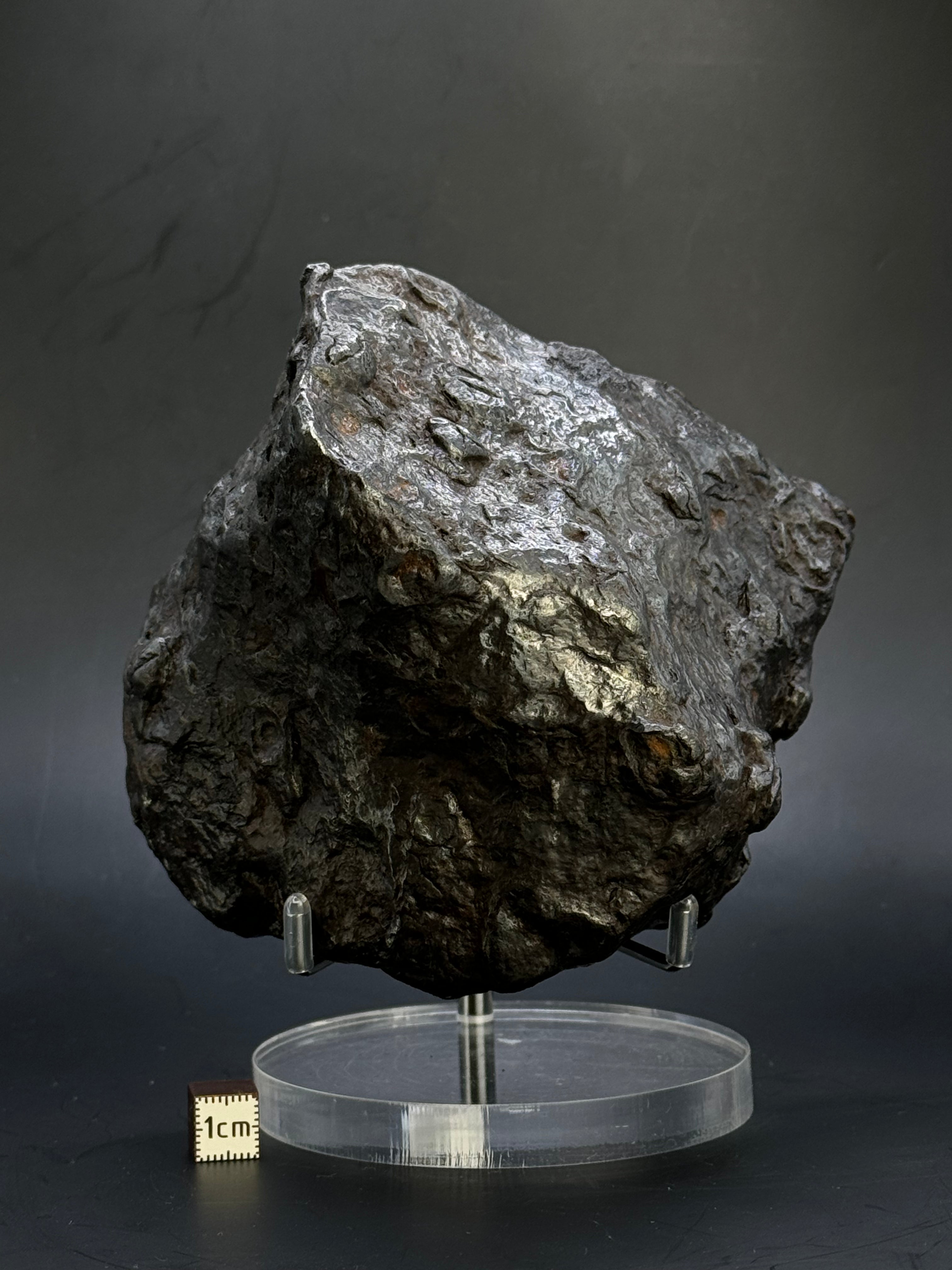 Muonionalusta Meteorite, Sweden. Full meteorite 2684 grams.