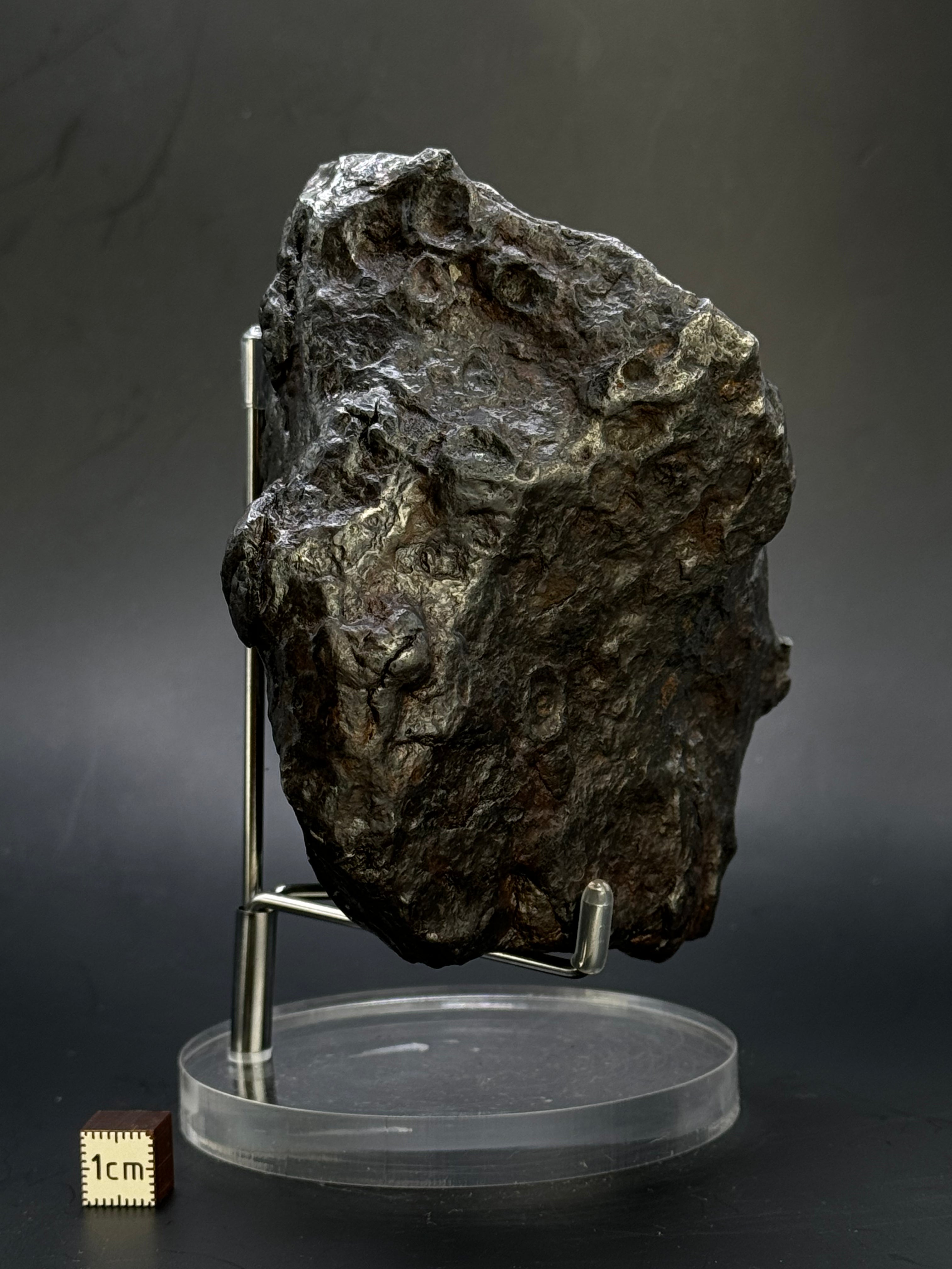 Muonionalusta Meteorite, Sweden. Full meteorite 2684 grams.