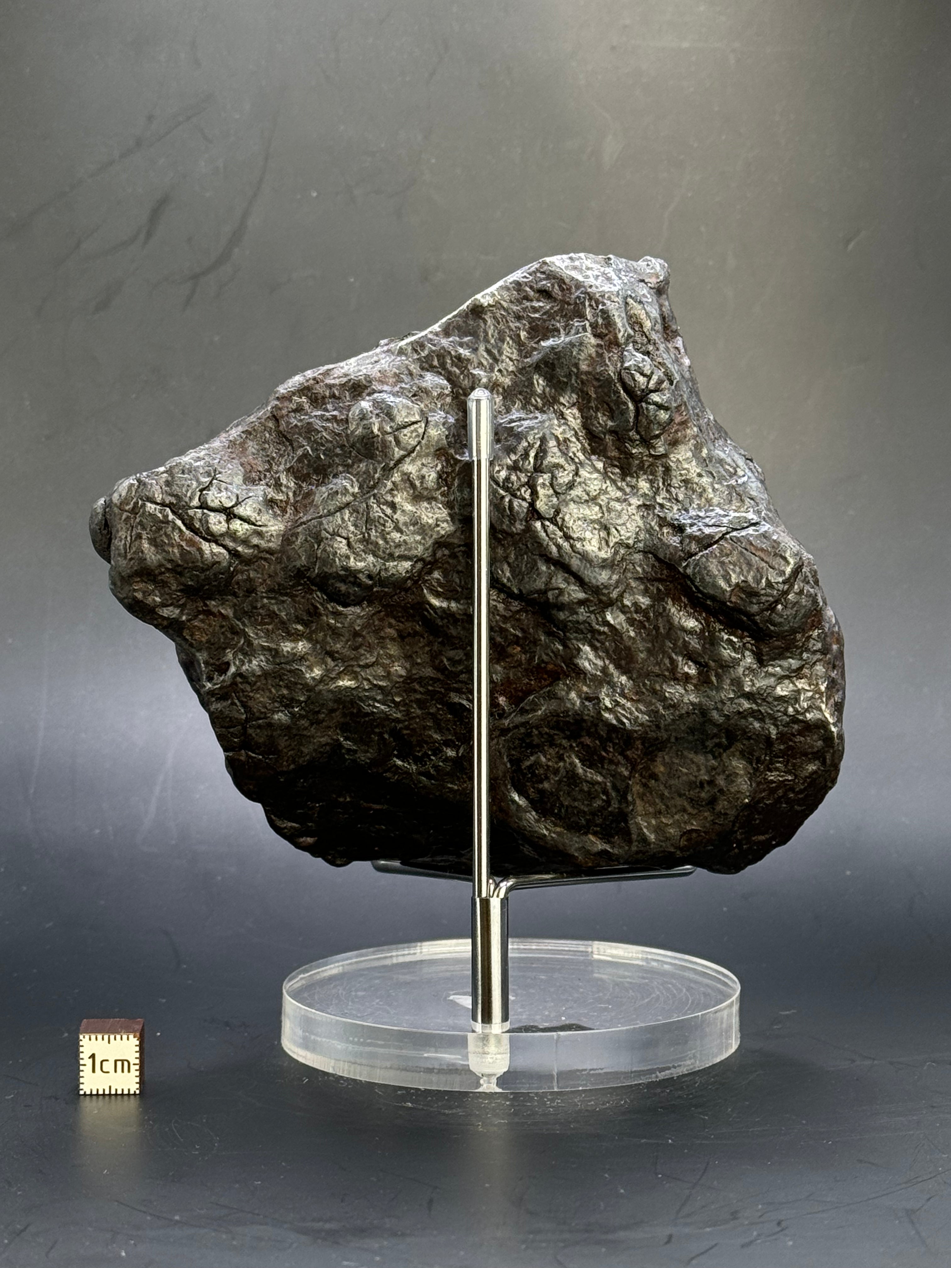 Muonionalusta Meteorite, Sweden. Full meteorite 2684 grams.