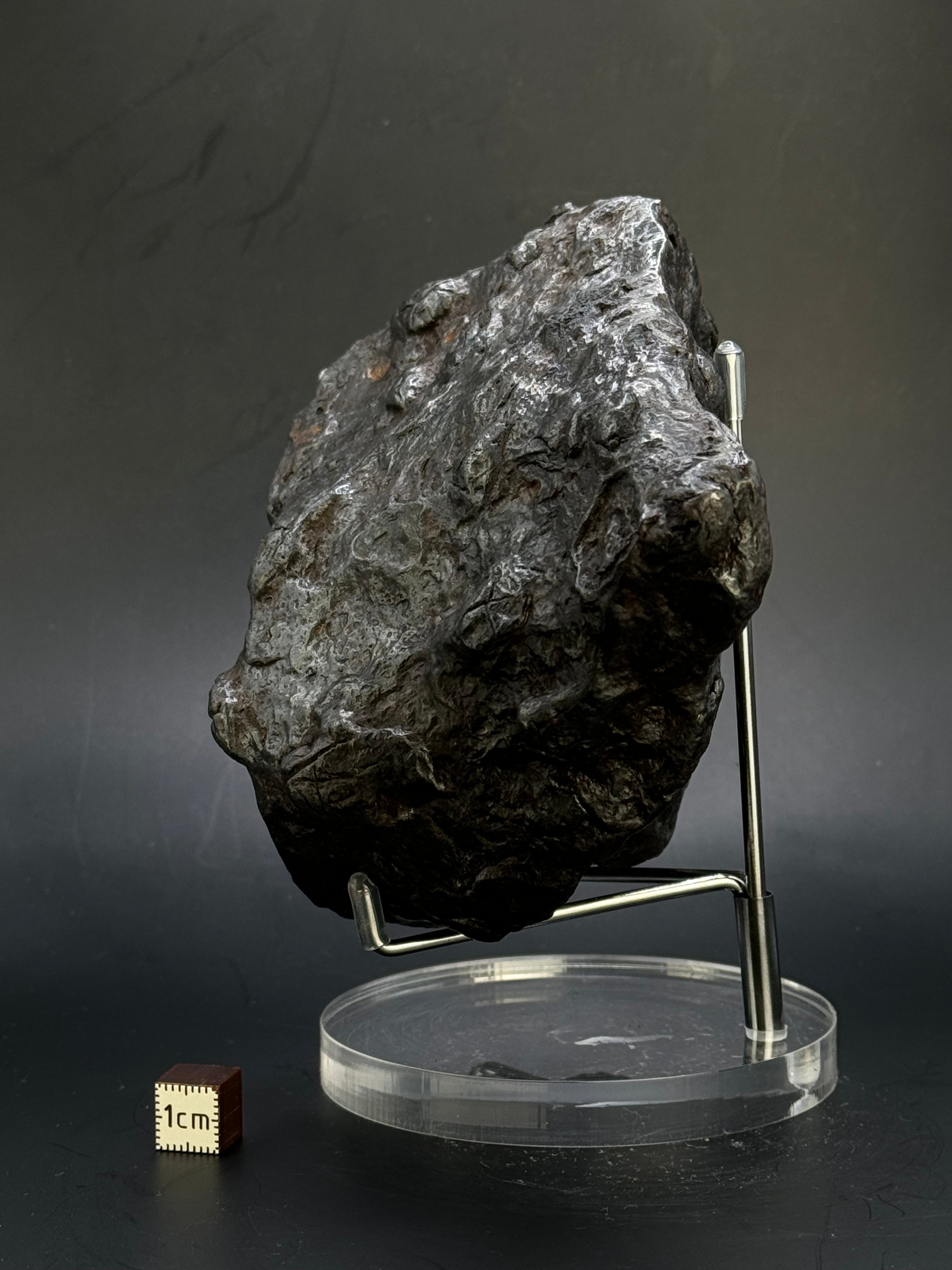 Muonionalusta Meteorite, Sweden. Full meteorite 2684 grams.