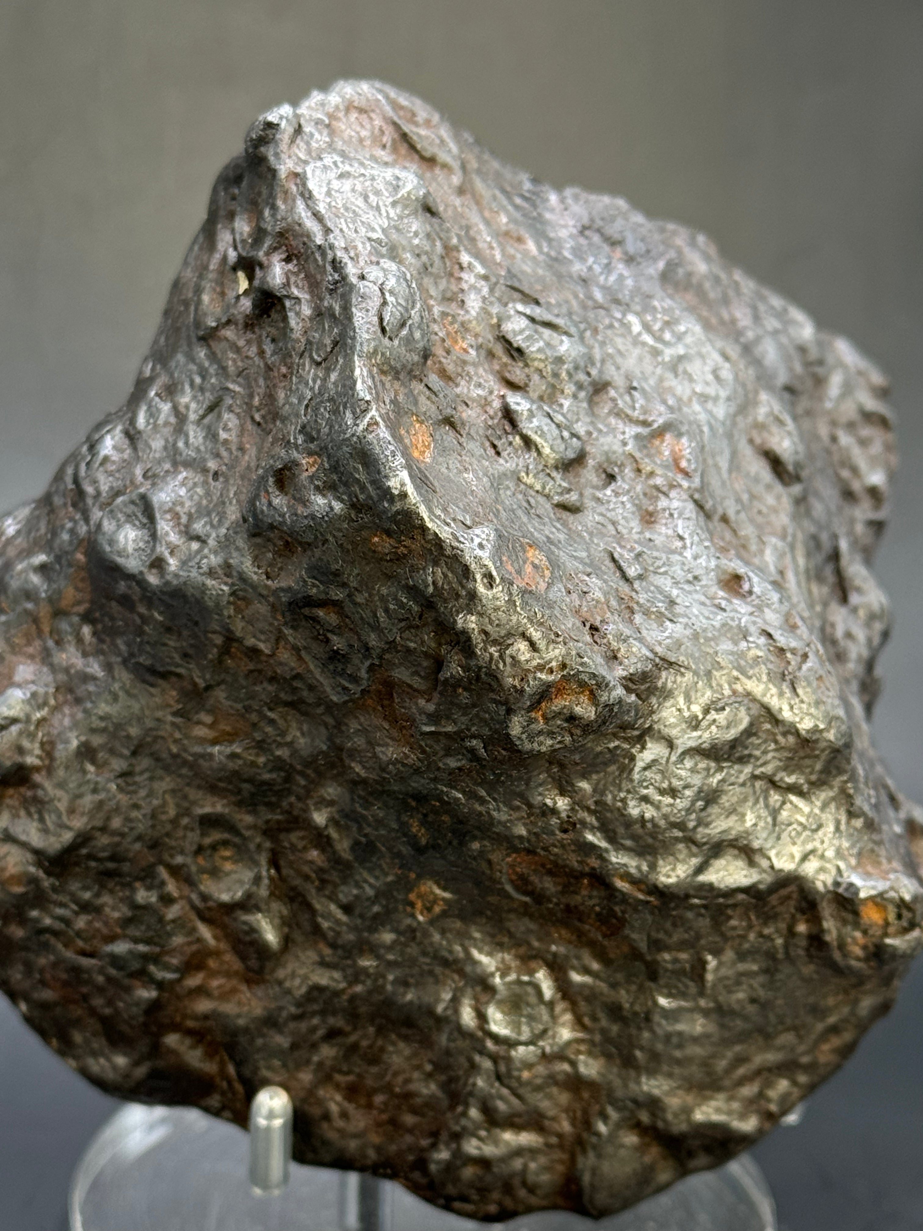 Muonionalusta Meteorite, Sweden. Full meteorite 2684 grams.