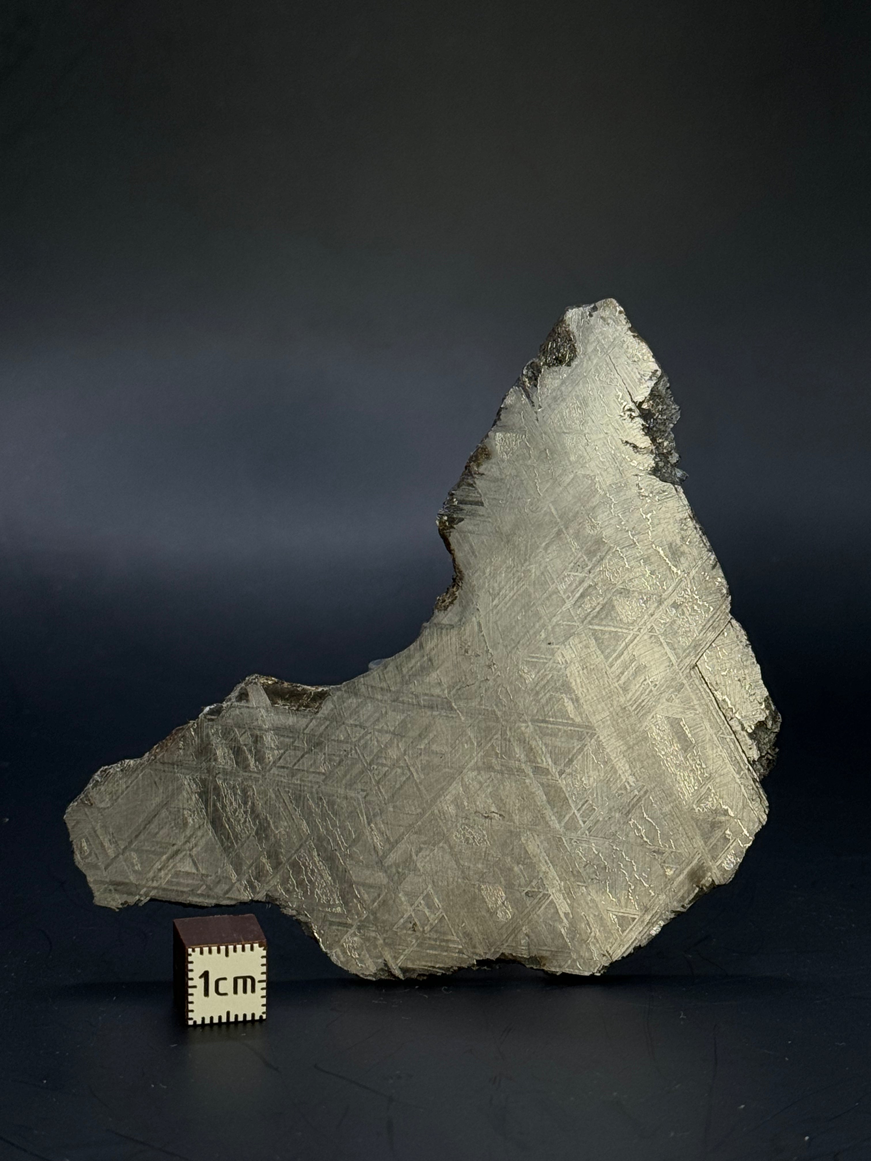 Muonionalusta meteorite, Sweden. 94,65 grams.