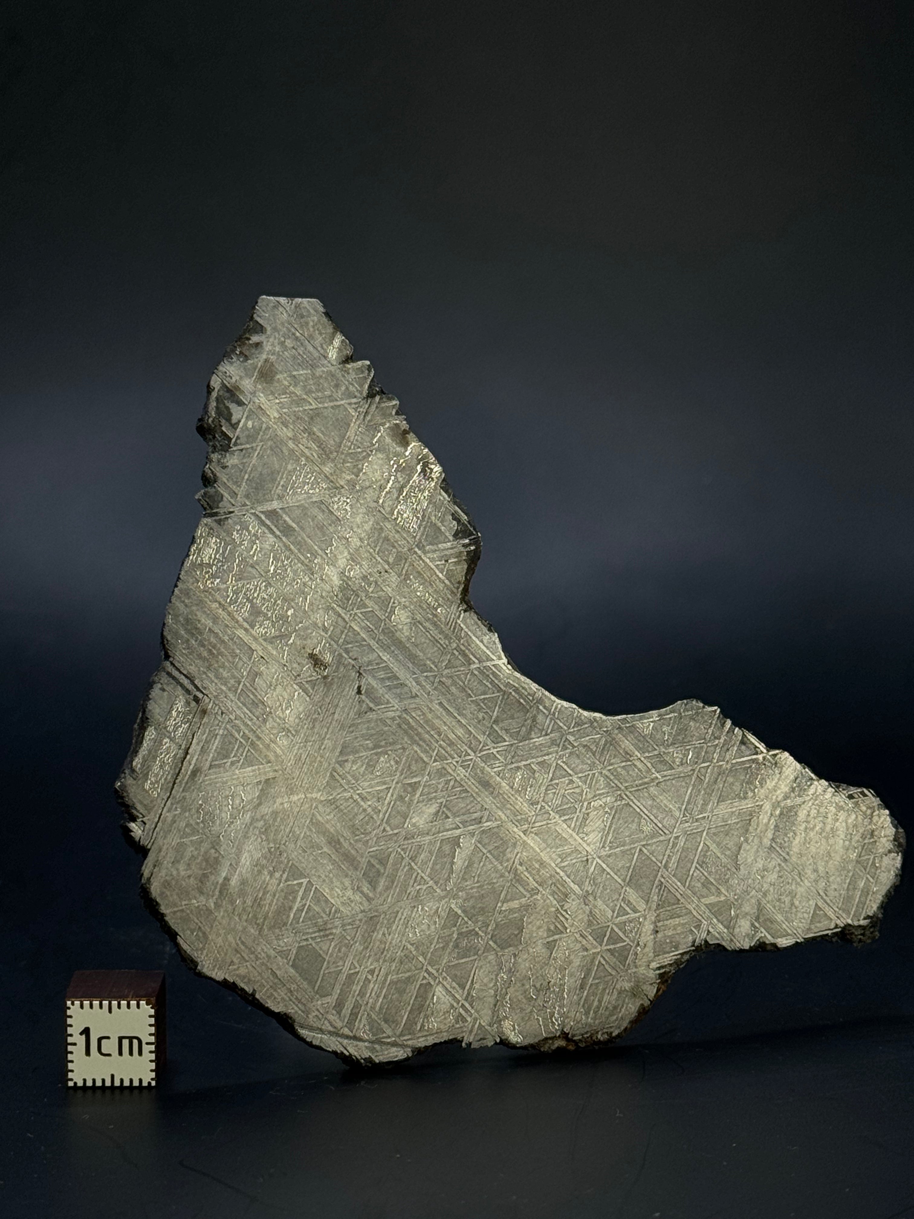 Muonionalusta meteorite, Sweden. 94,65 grams.