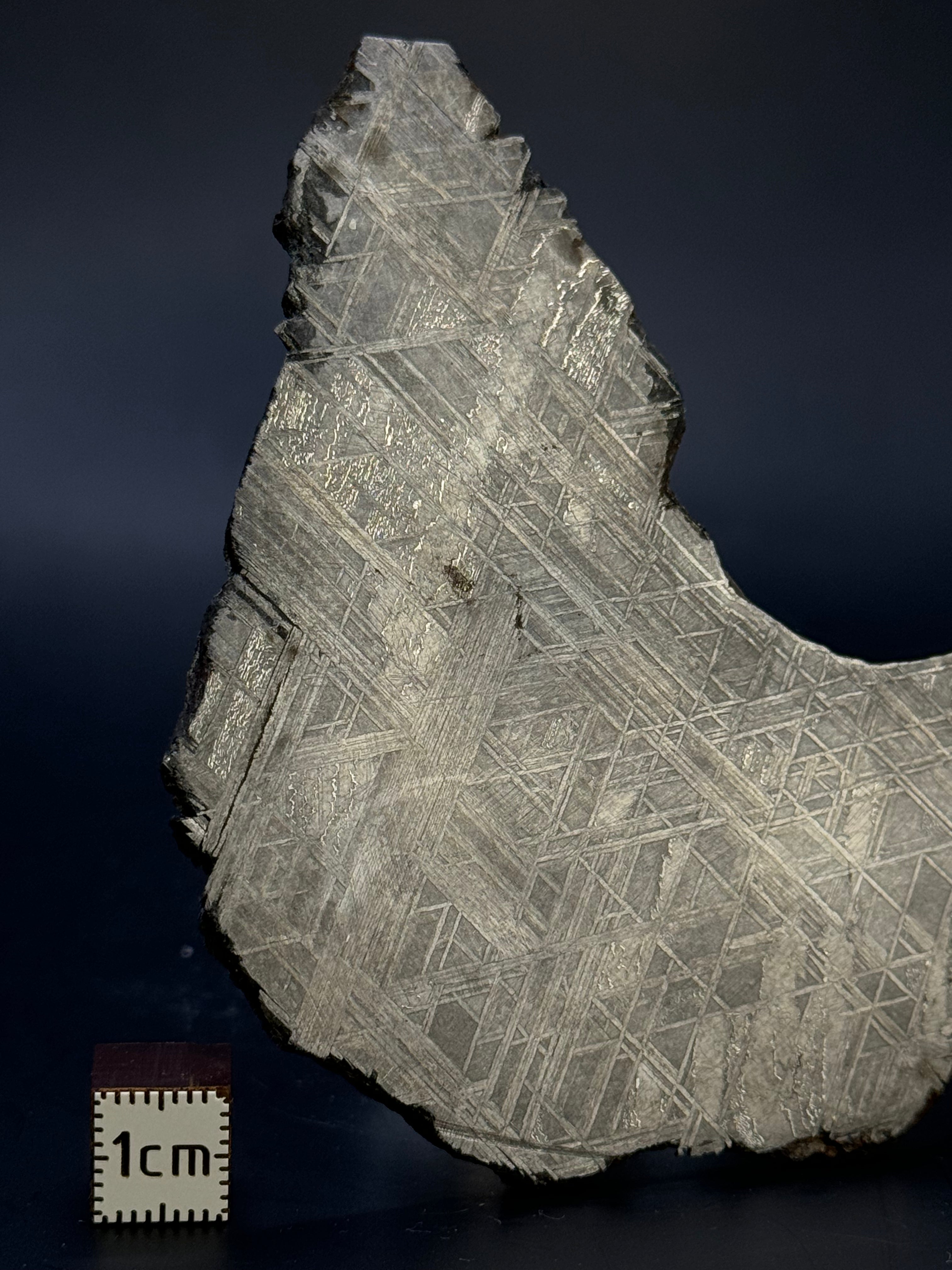 Muonionalusta meteorite, Sweden. 94,65 grams.