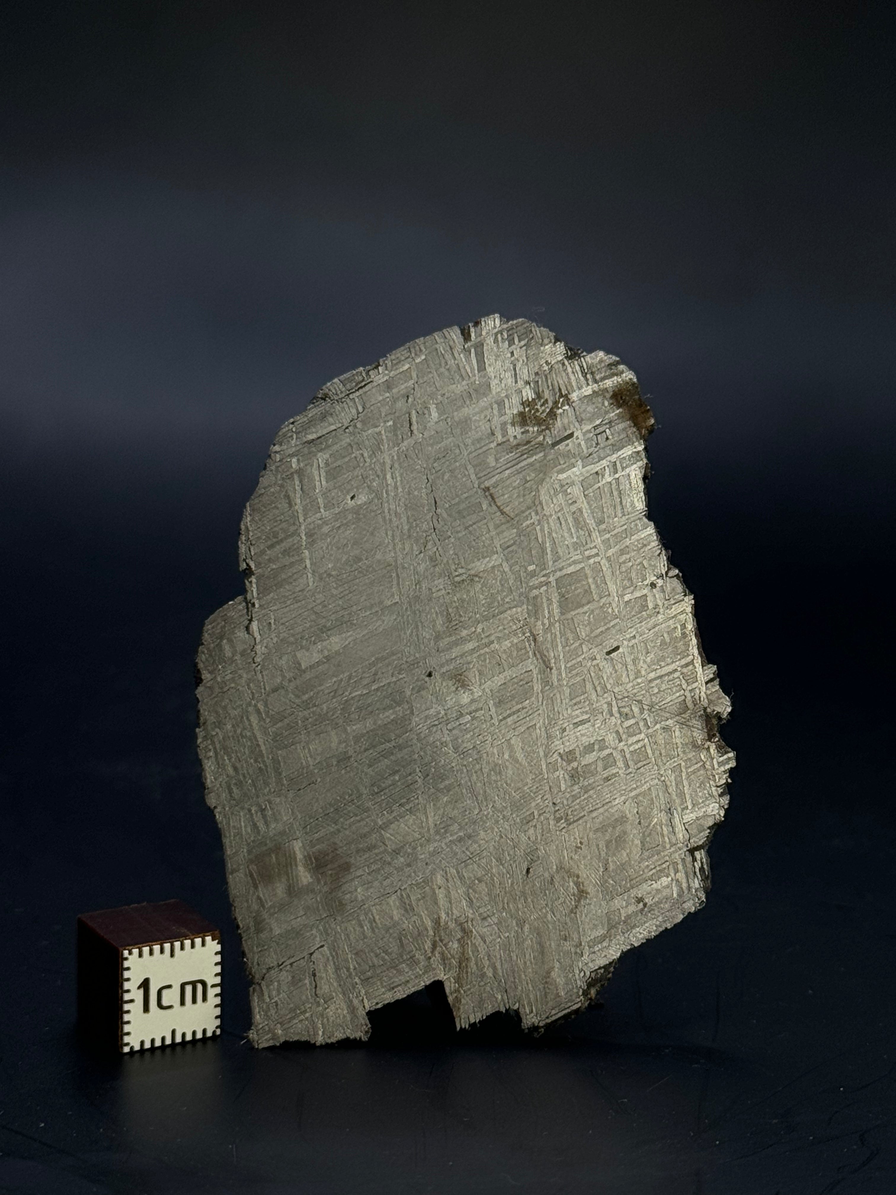 Muonionalusta meteorite, Sweden. 43,40 grams.