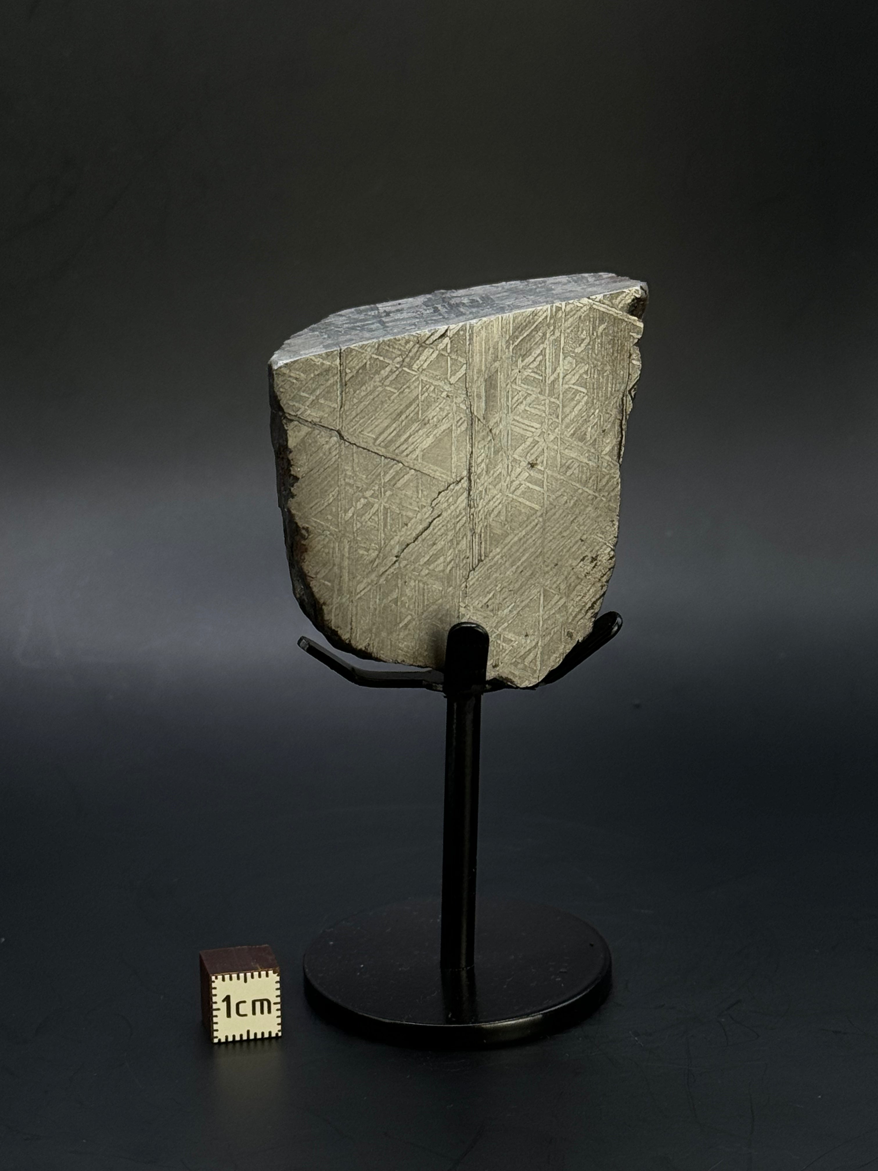 Muonionalusta meteorite, Sweden. 390 grams end-cut.