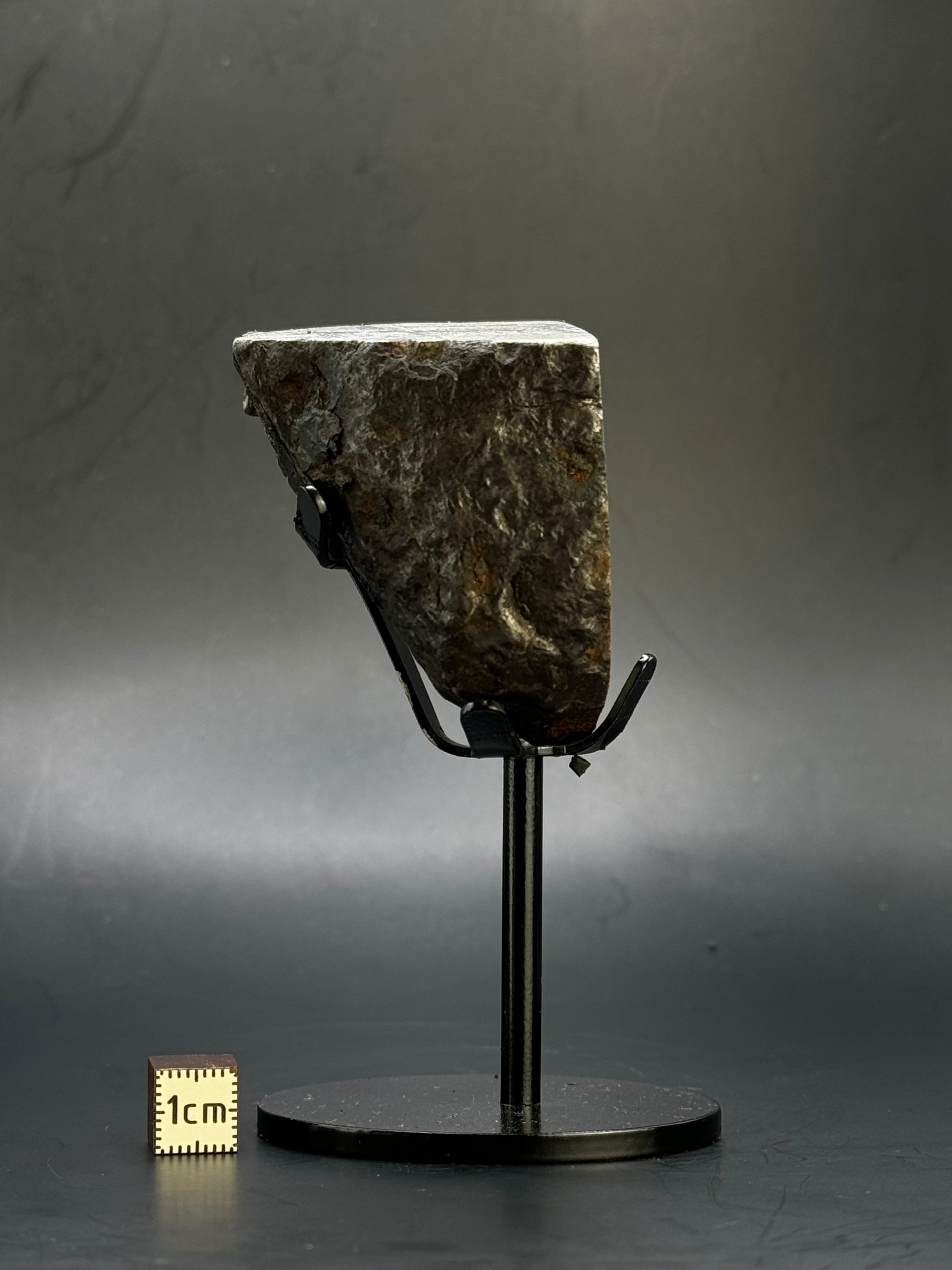 Muonionalusta meteorite, Sweden. 390 grams end-cut.