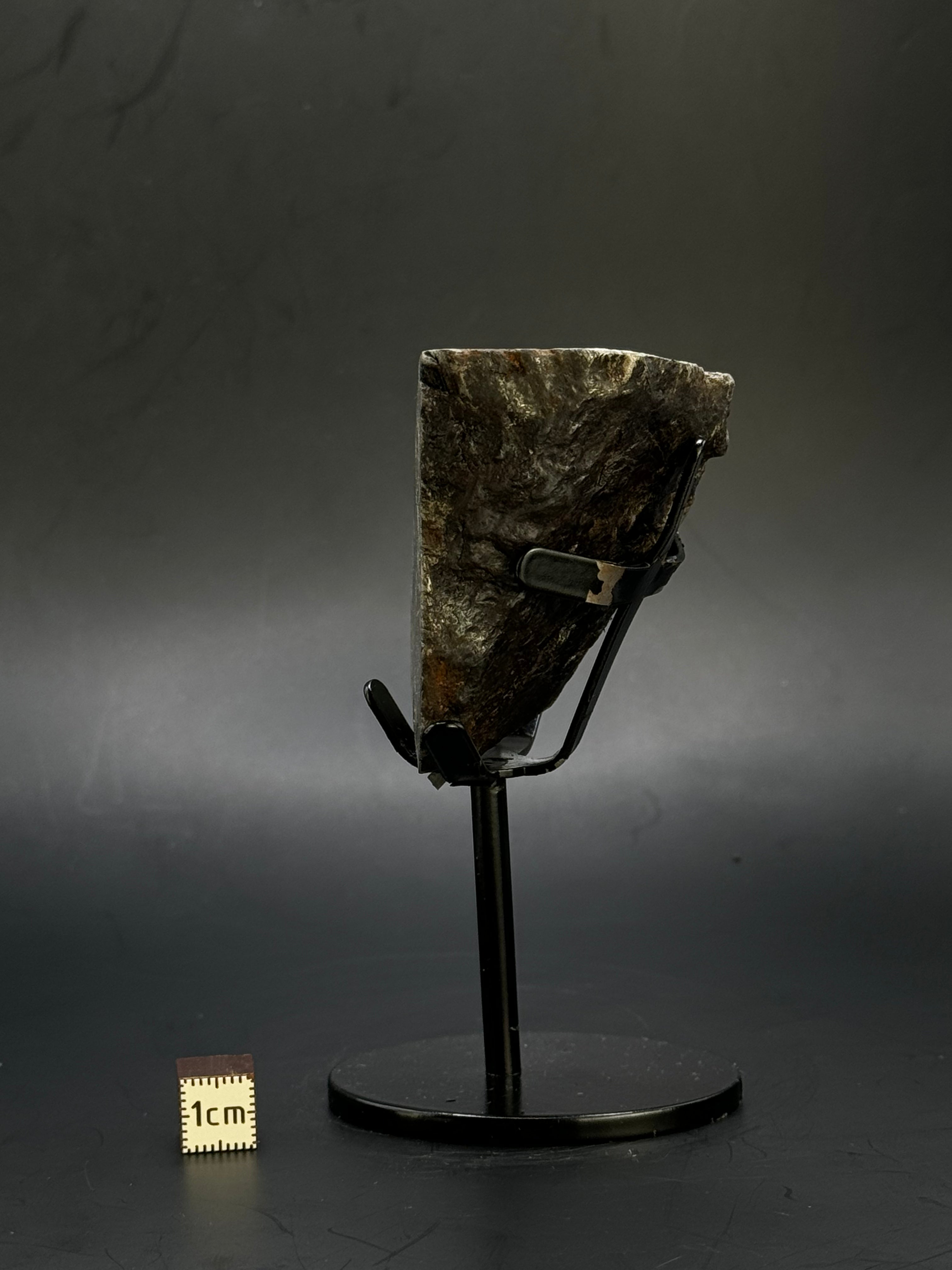 Muonionalusta meteorite, Sweden. 390 grams end-cut.