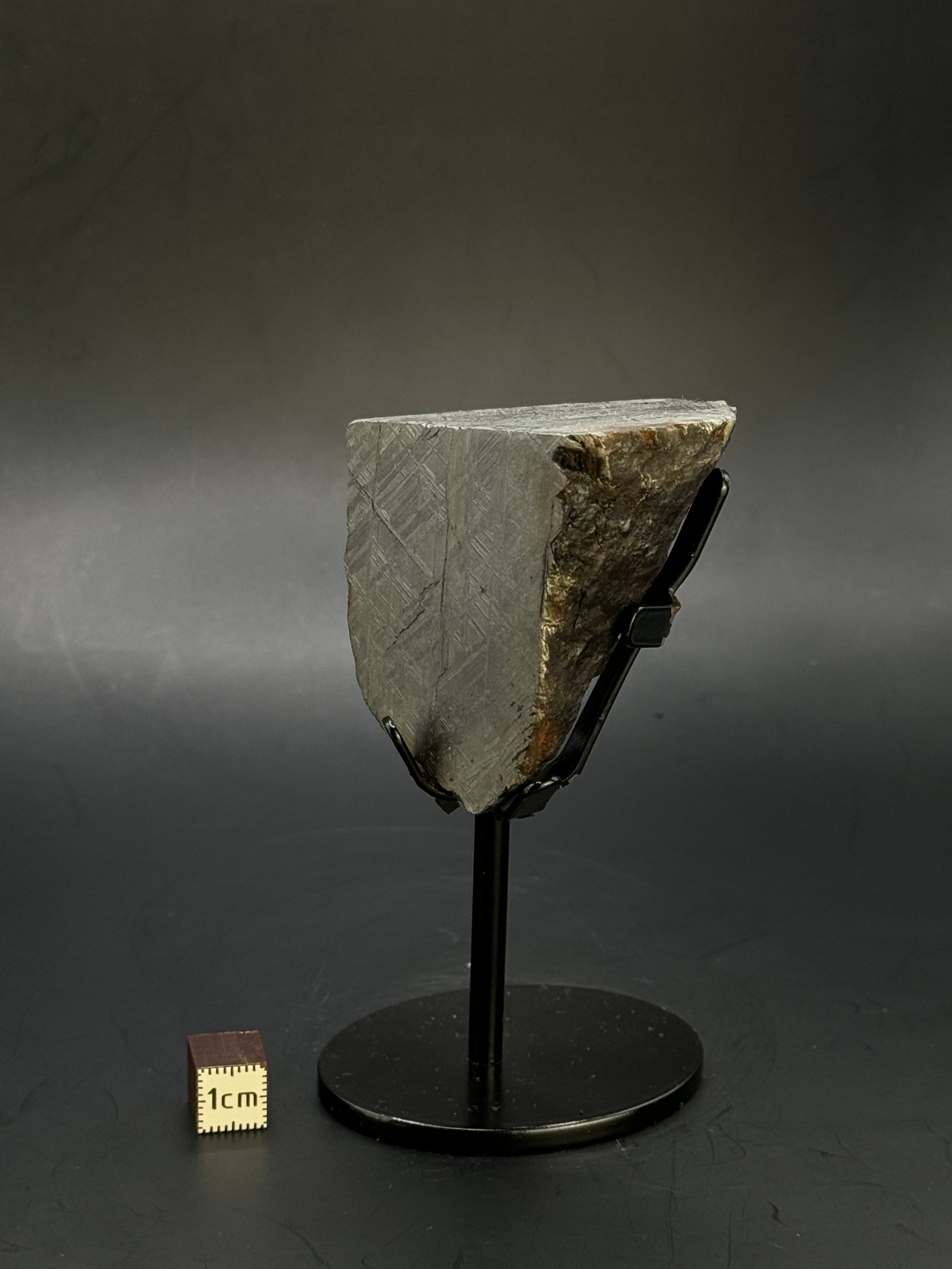 Muonionalusta meteorite, Sweden. 390 grams end-cut.