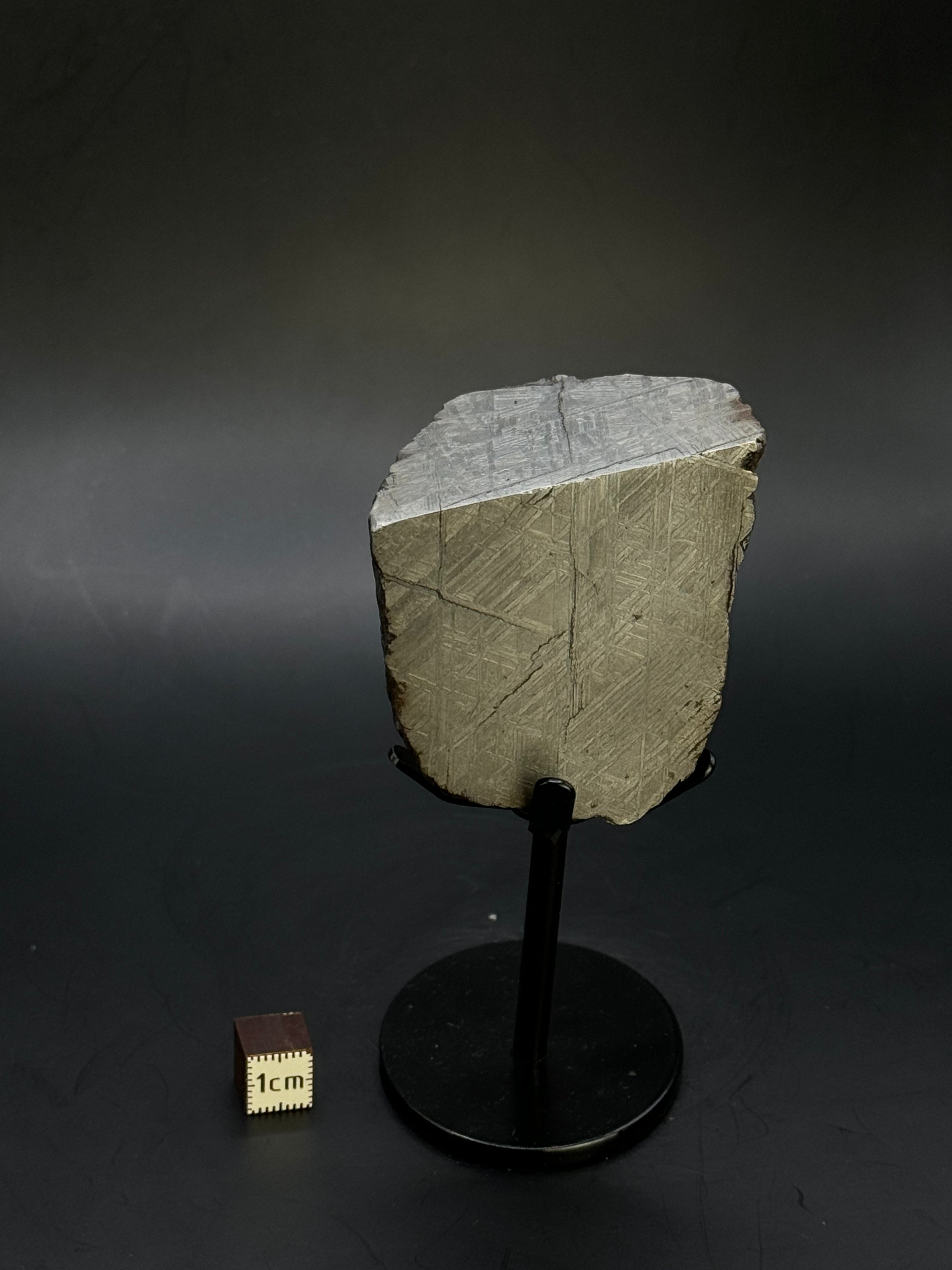 Muonionalusta meteorite, Sweden. 390 grams end-cut.
