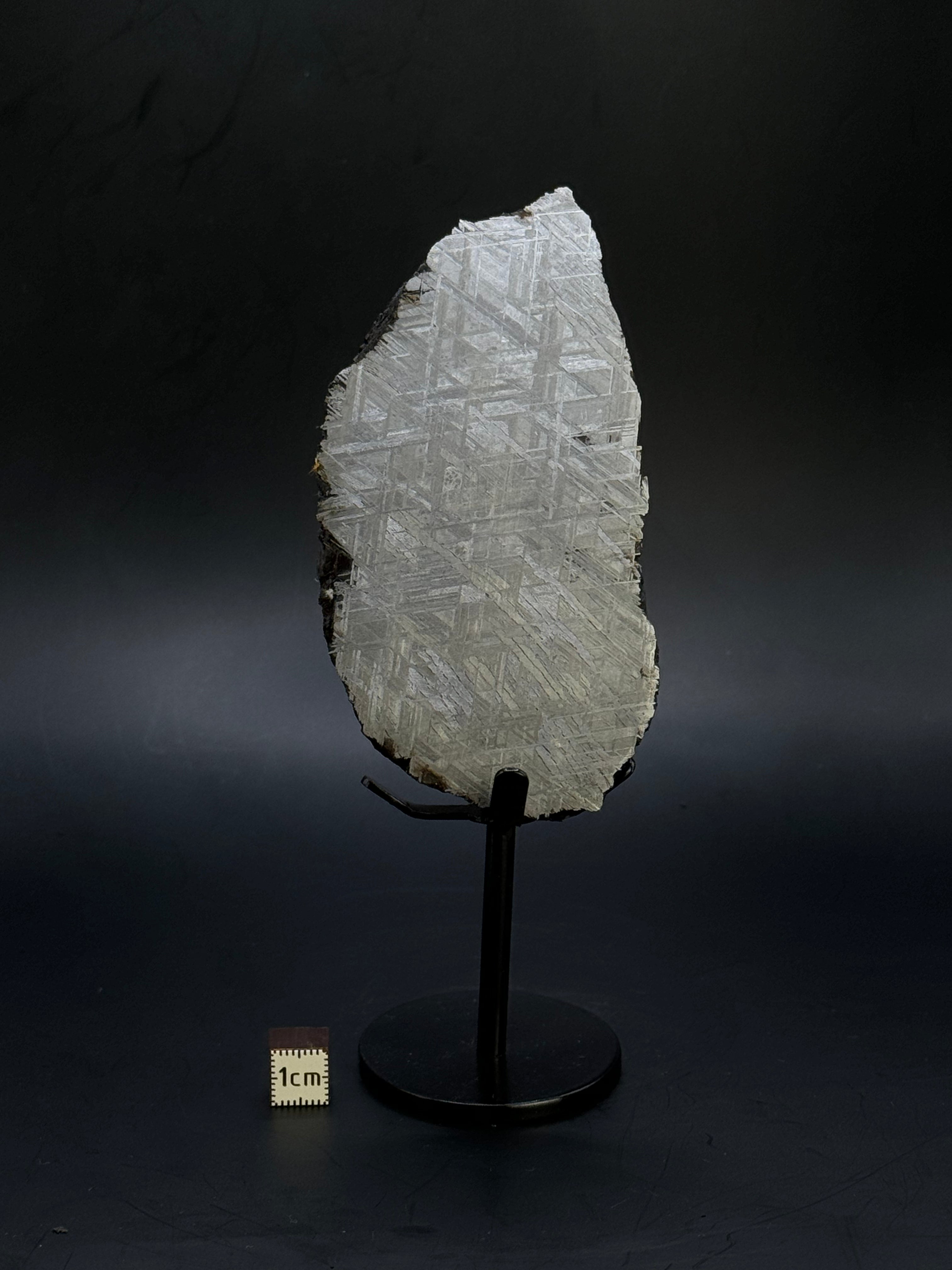 Muonionalusta meteorite, Sweden. 287 grams end-cut.