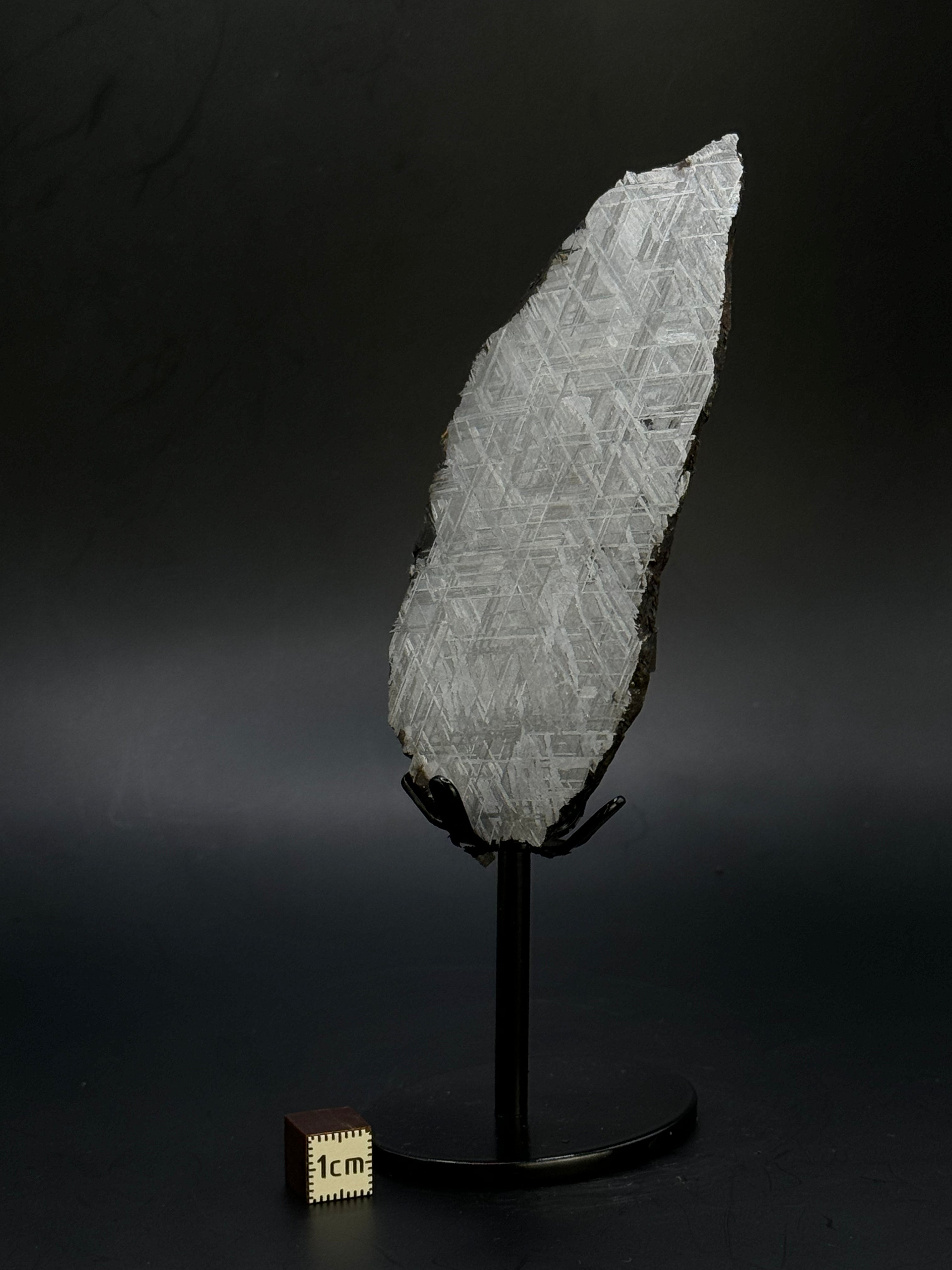 Muonionalusta meteorite, Sweden. 287 grams end-cut.