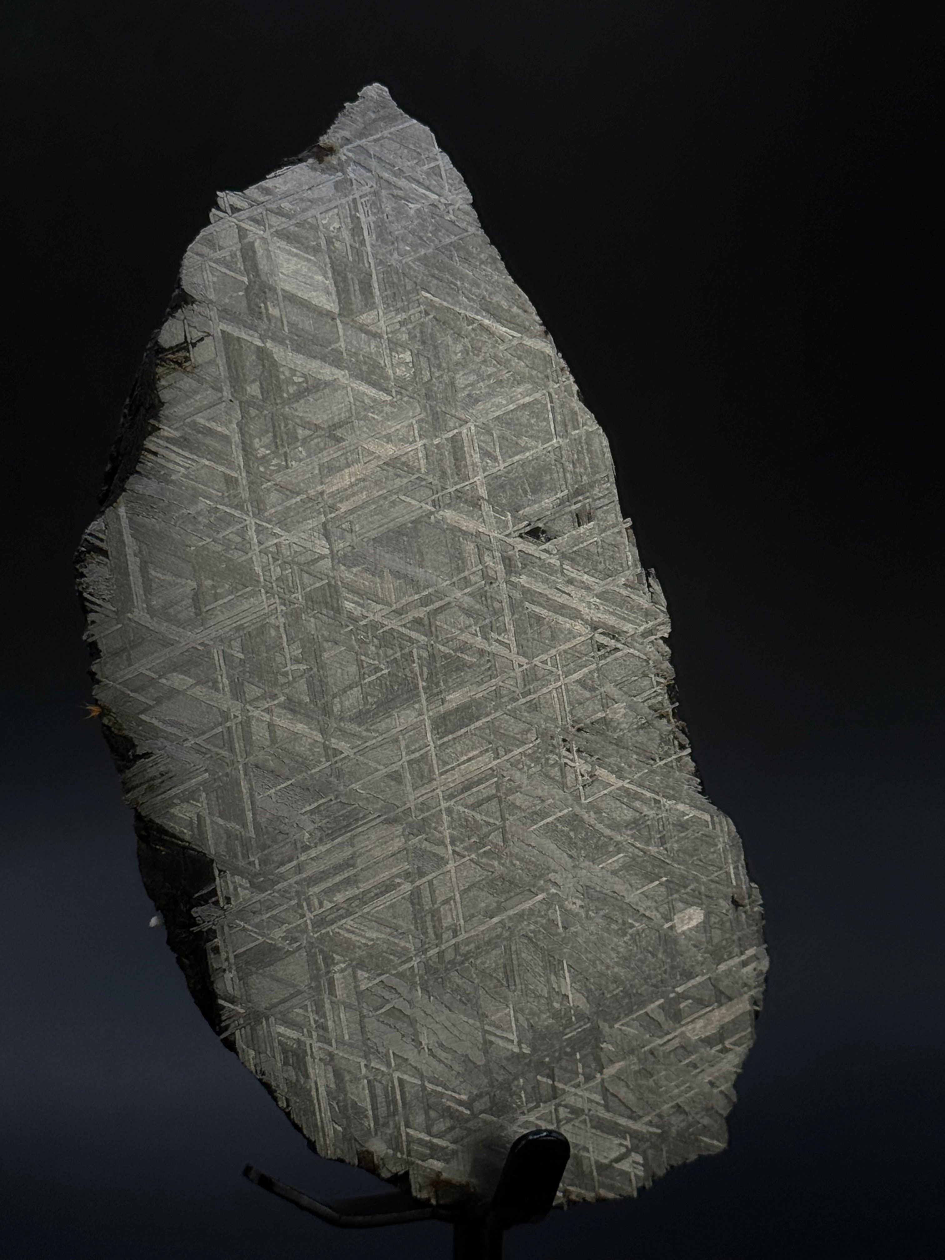 Muonionalusta meteorite, Sweden. 287 grams end-cut.