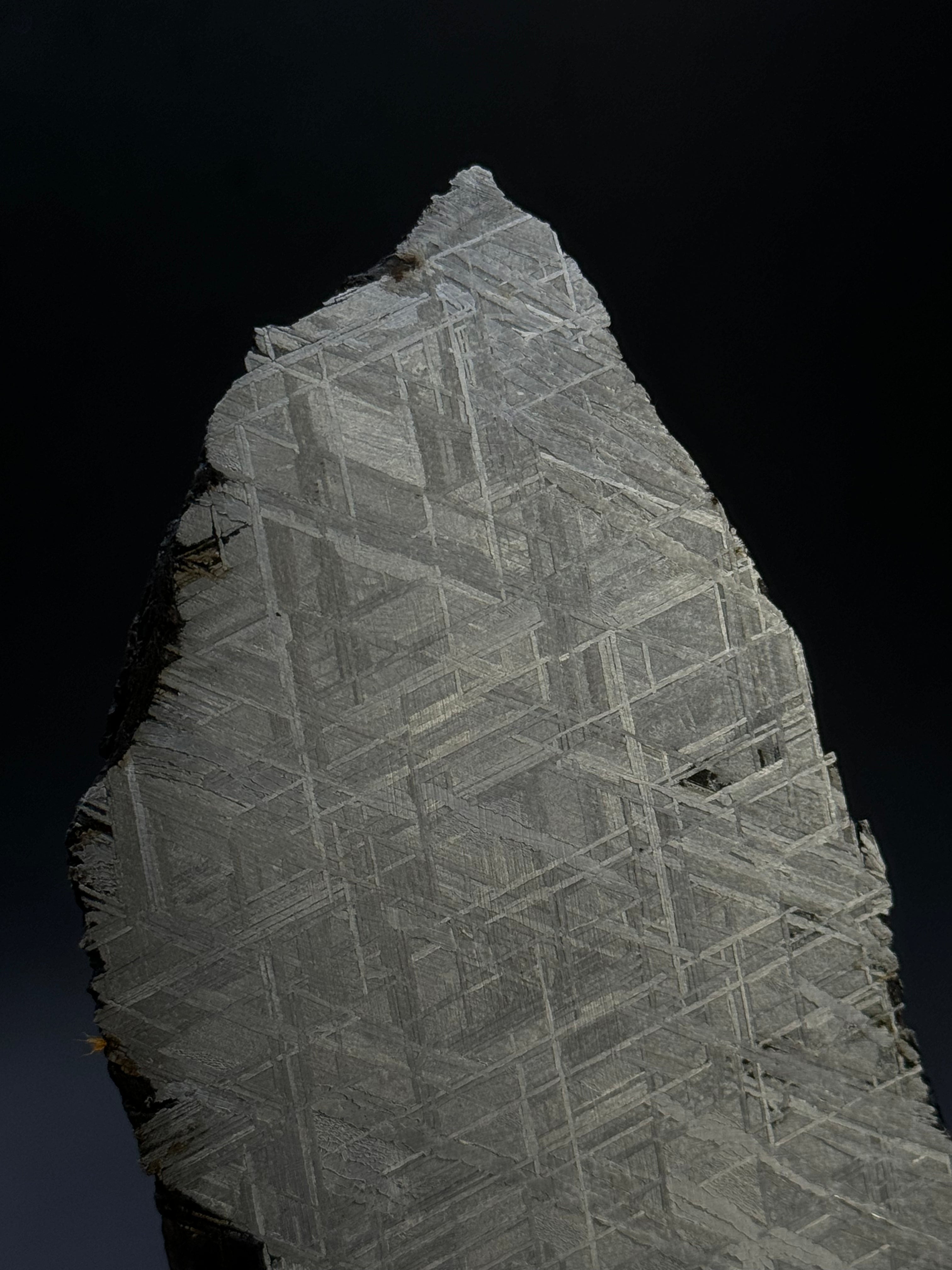 Muonionalusta meteorite, Sweden. 287 grams end-cut.