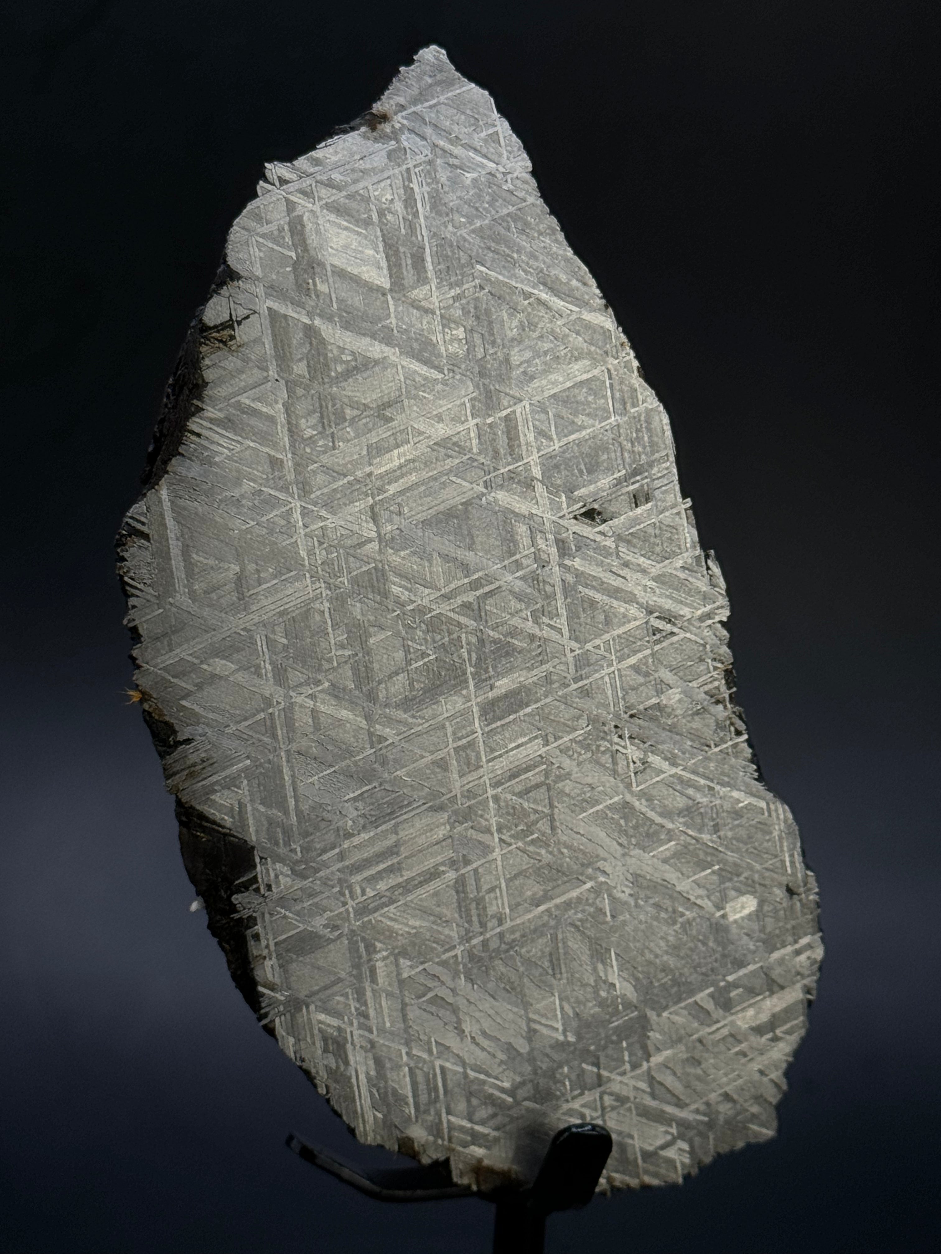 Muonionalusta meteorite, Sweden. 287 grams end-cut.