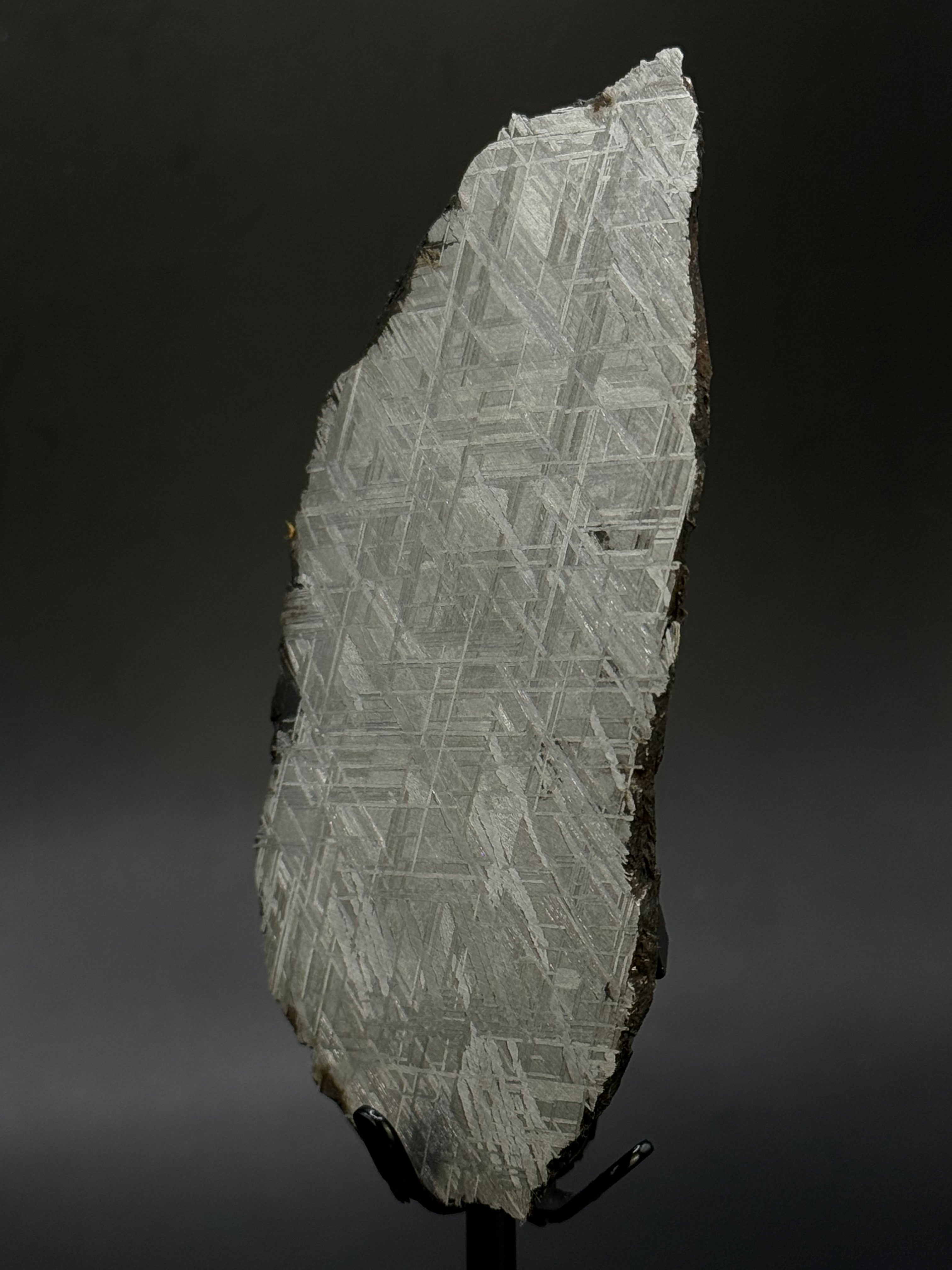 Muonionalusta meteorite, Sweden. 287 grams end-cut.