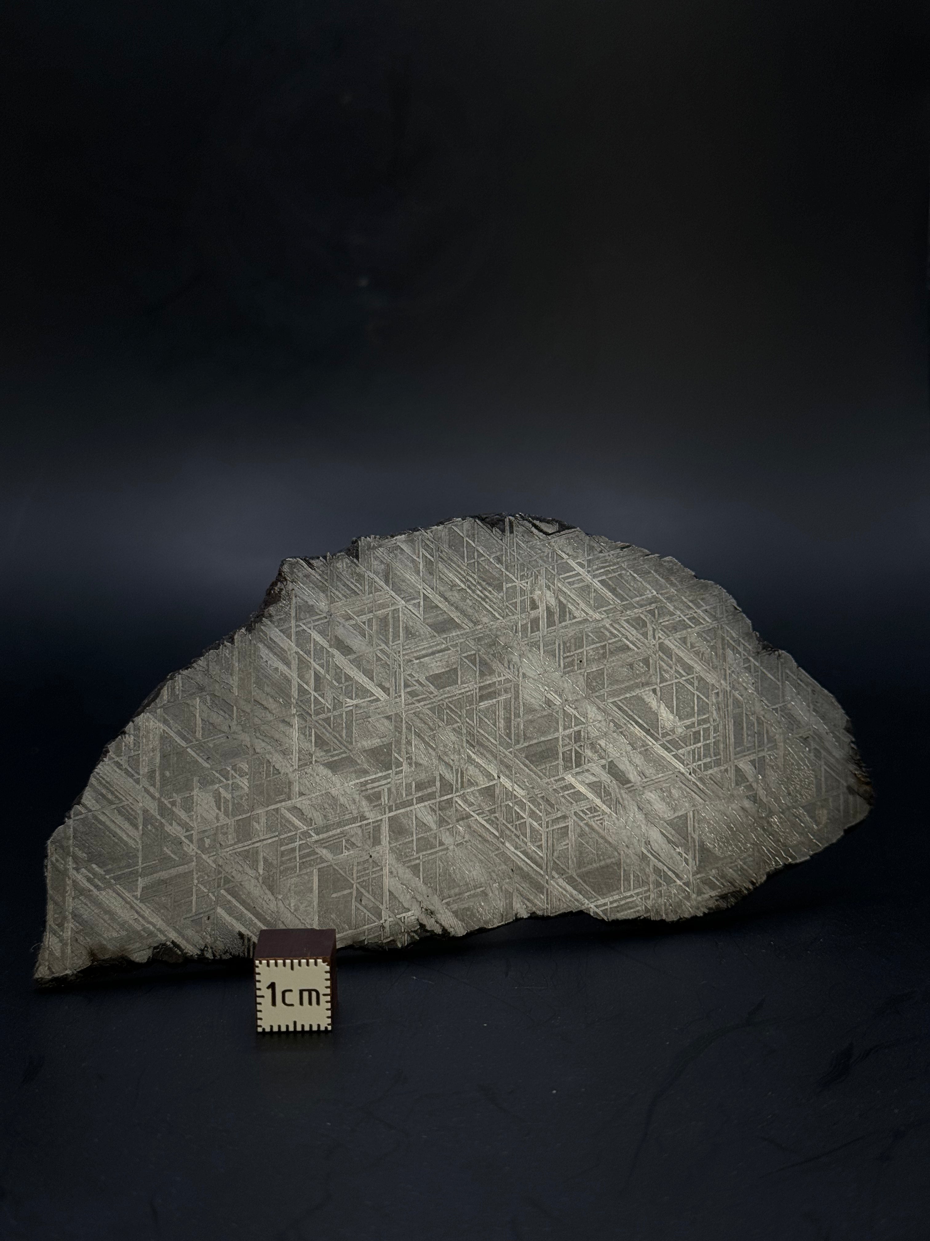 Muonionalusta meteorite, Sweden. 139,12 grams.