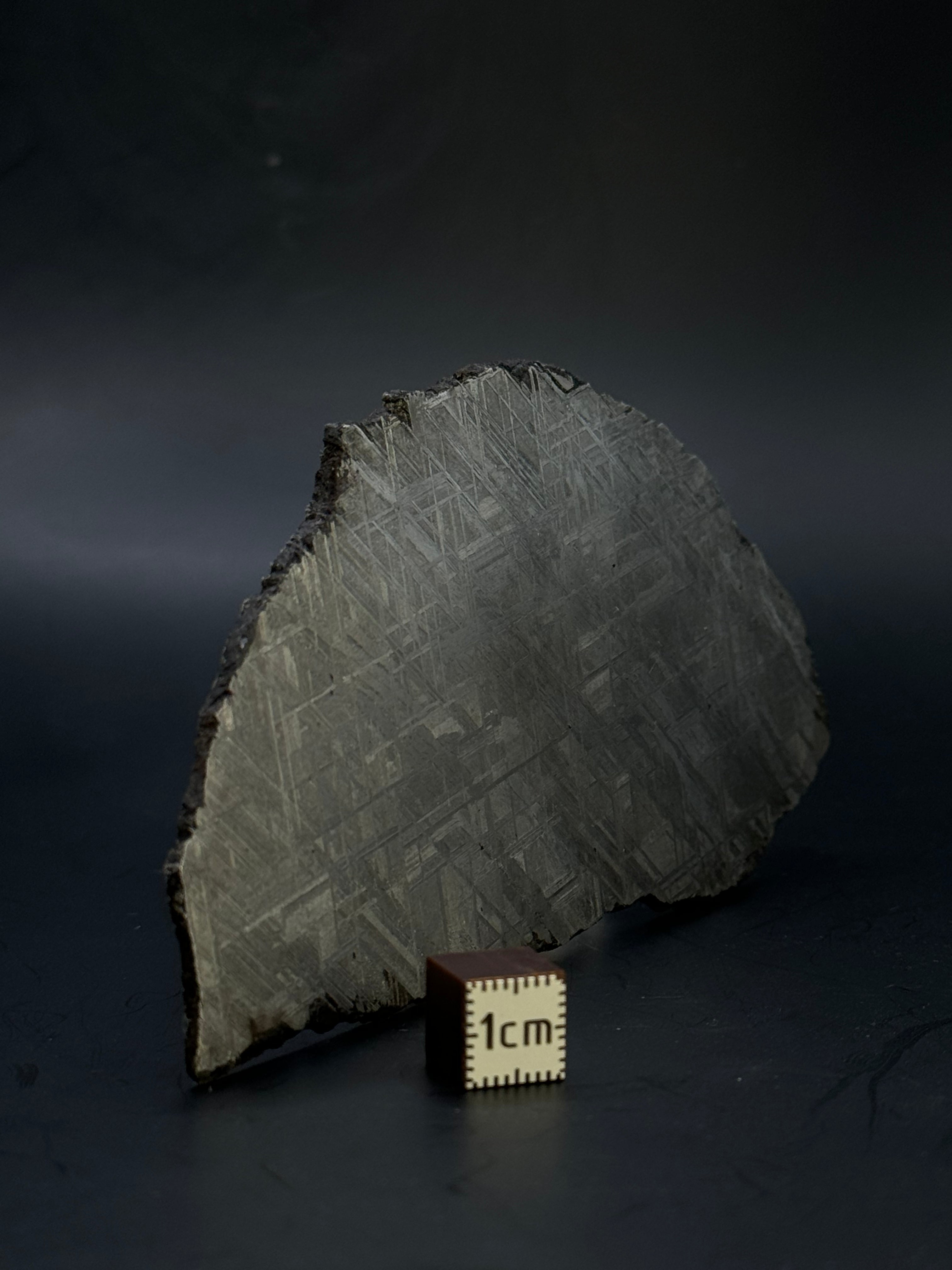 Muonionalusta meteorite, Sweden. 139,12 grams.