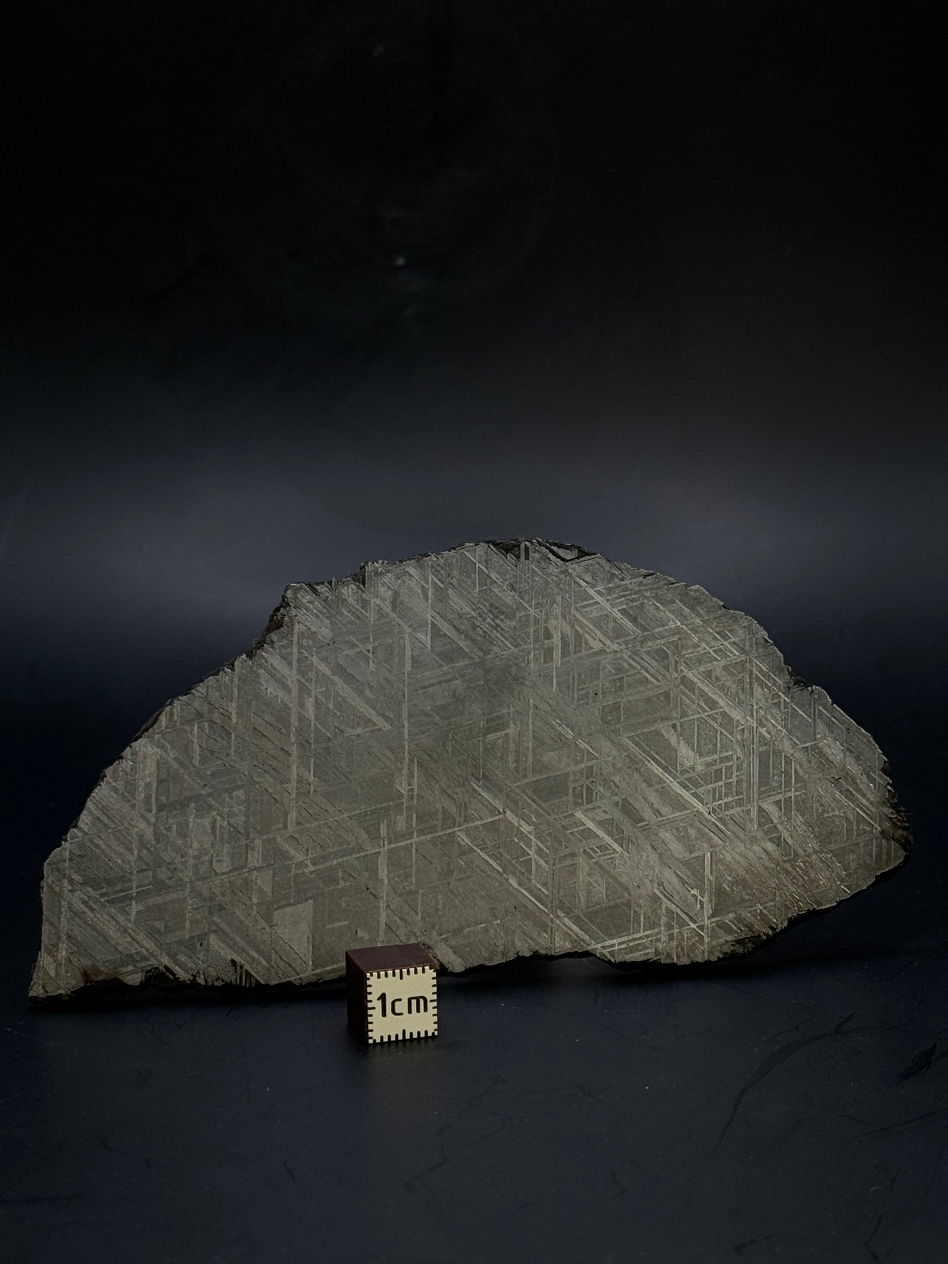 Muonionalusta meteorite, Sweden. 139,12 grams.