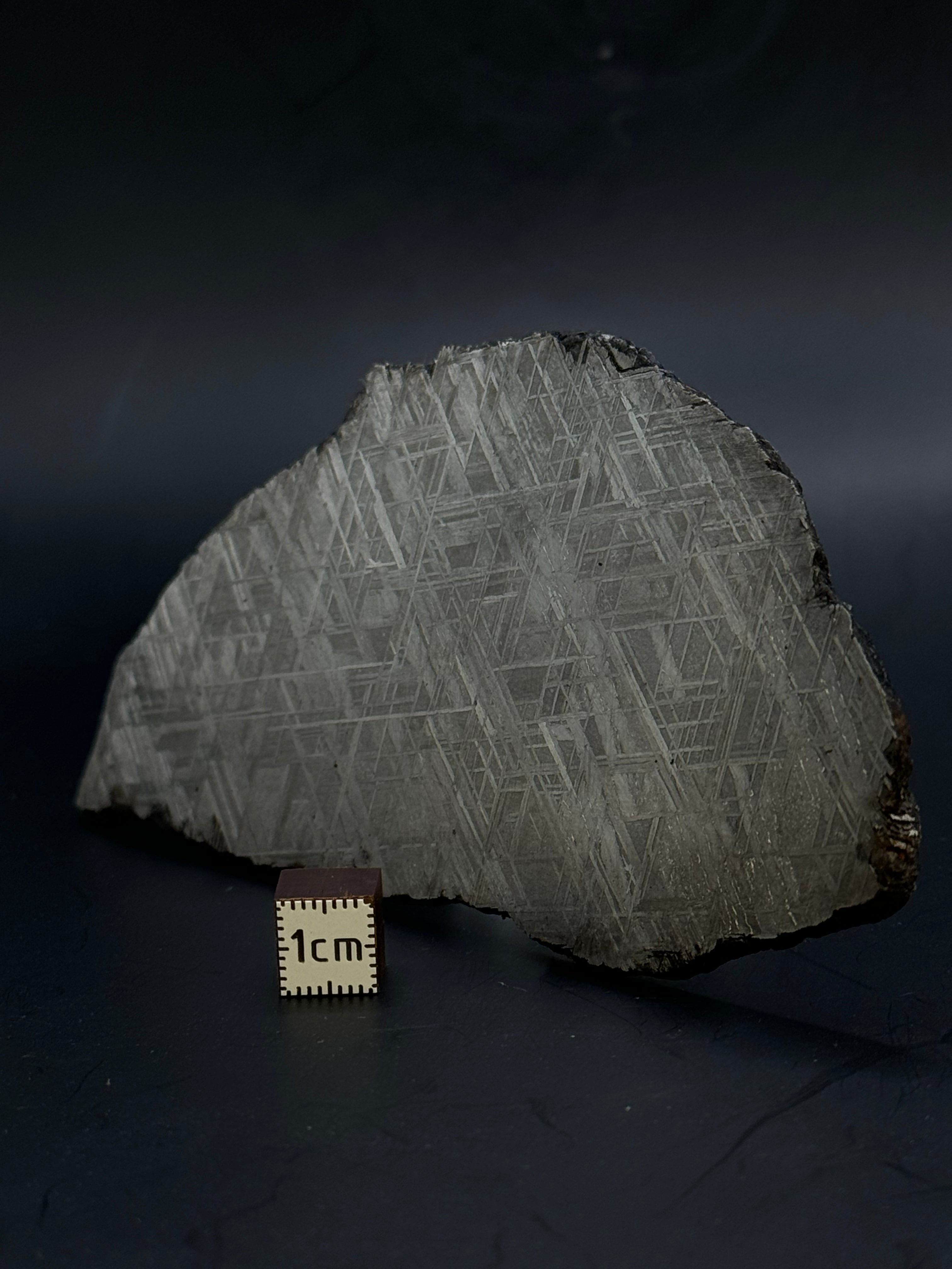 Muonionalusta meteorite, Sweden. 139,12 grams.