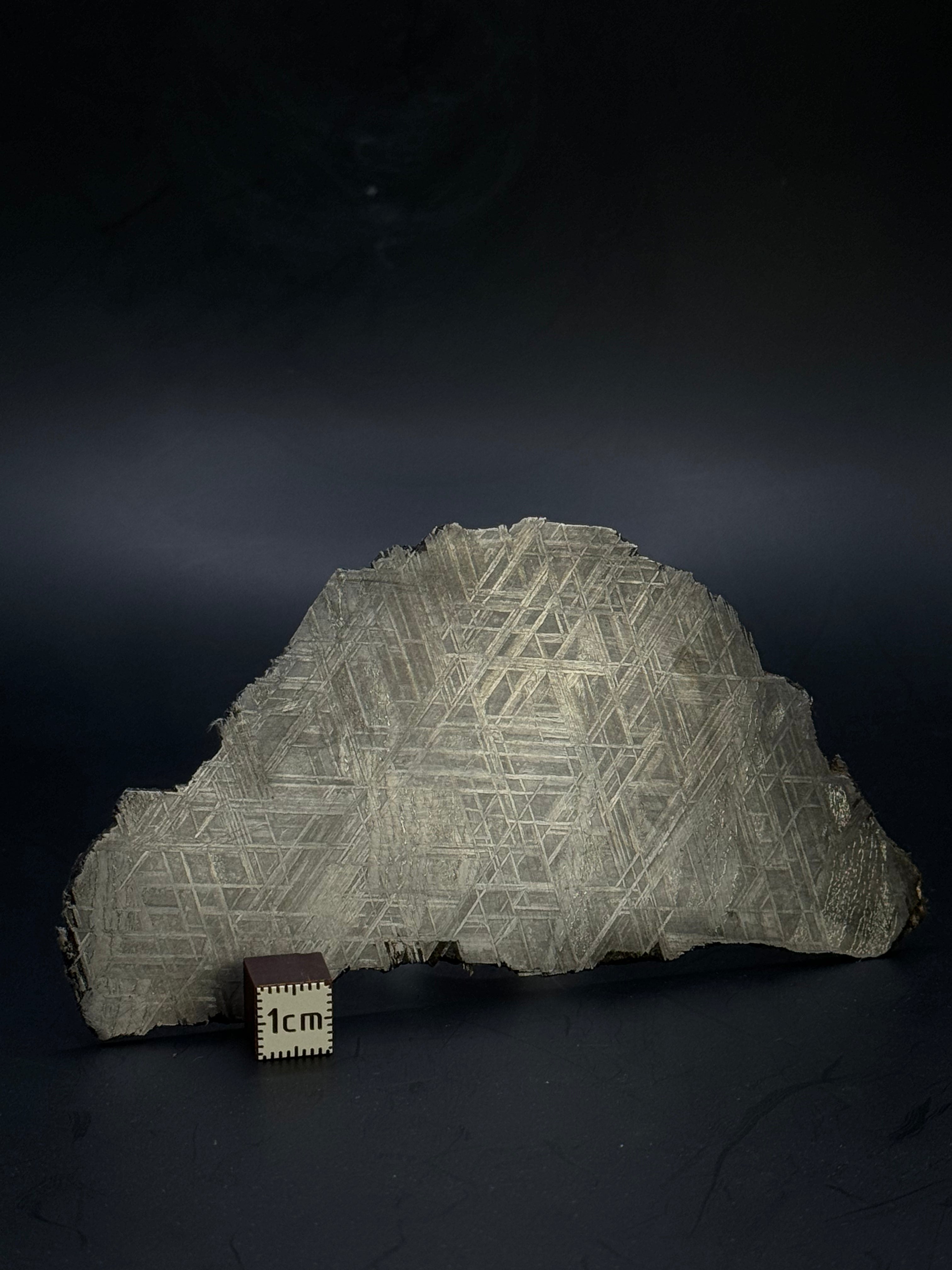 Muonionalusta meteorite, Sweden. 72,02 grams.