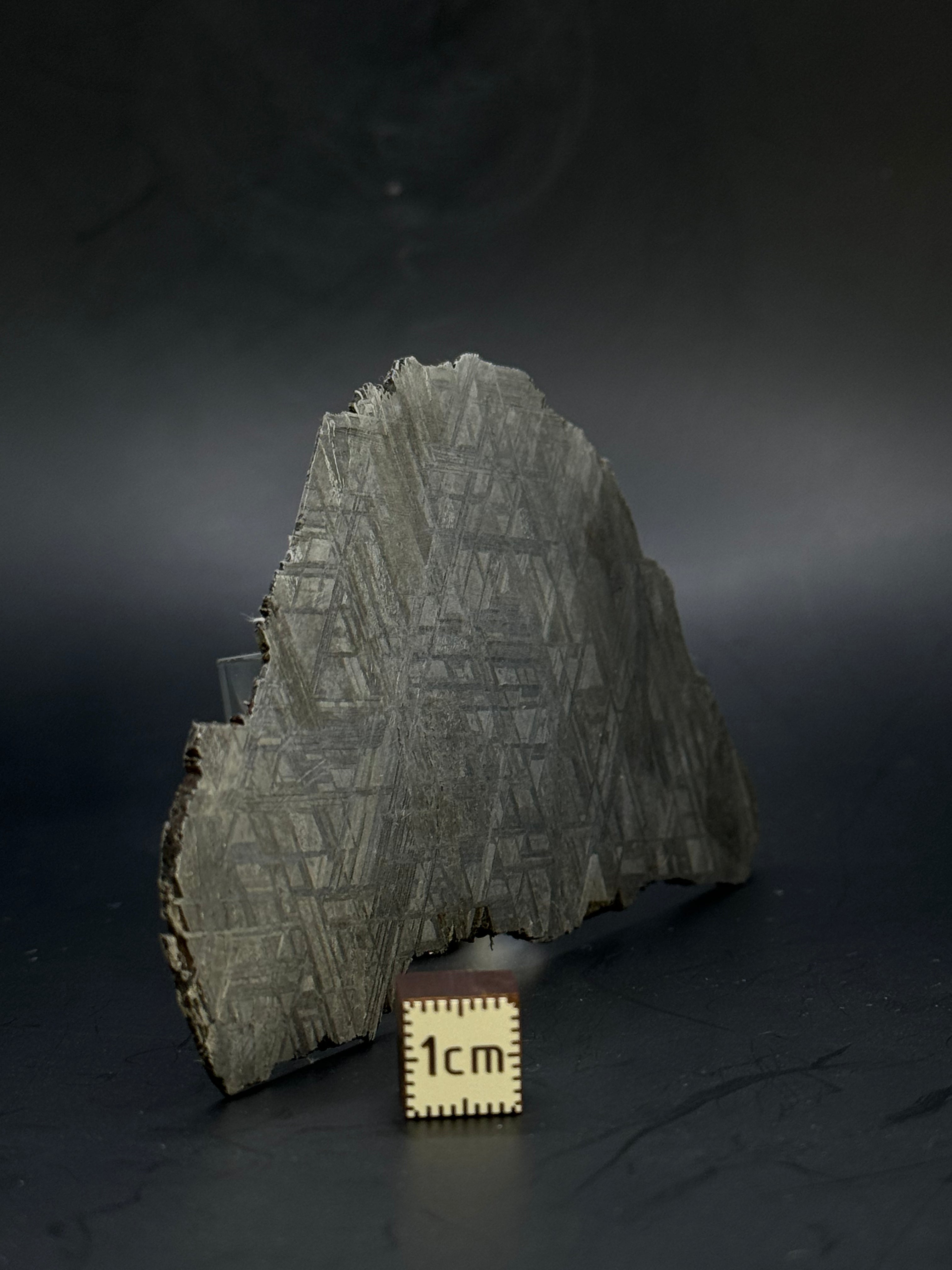 Muonionalusta meteorite, Sweden. 72,02 grams.