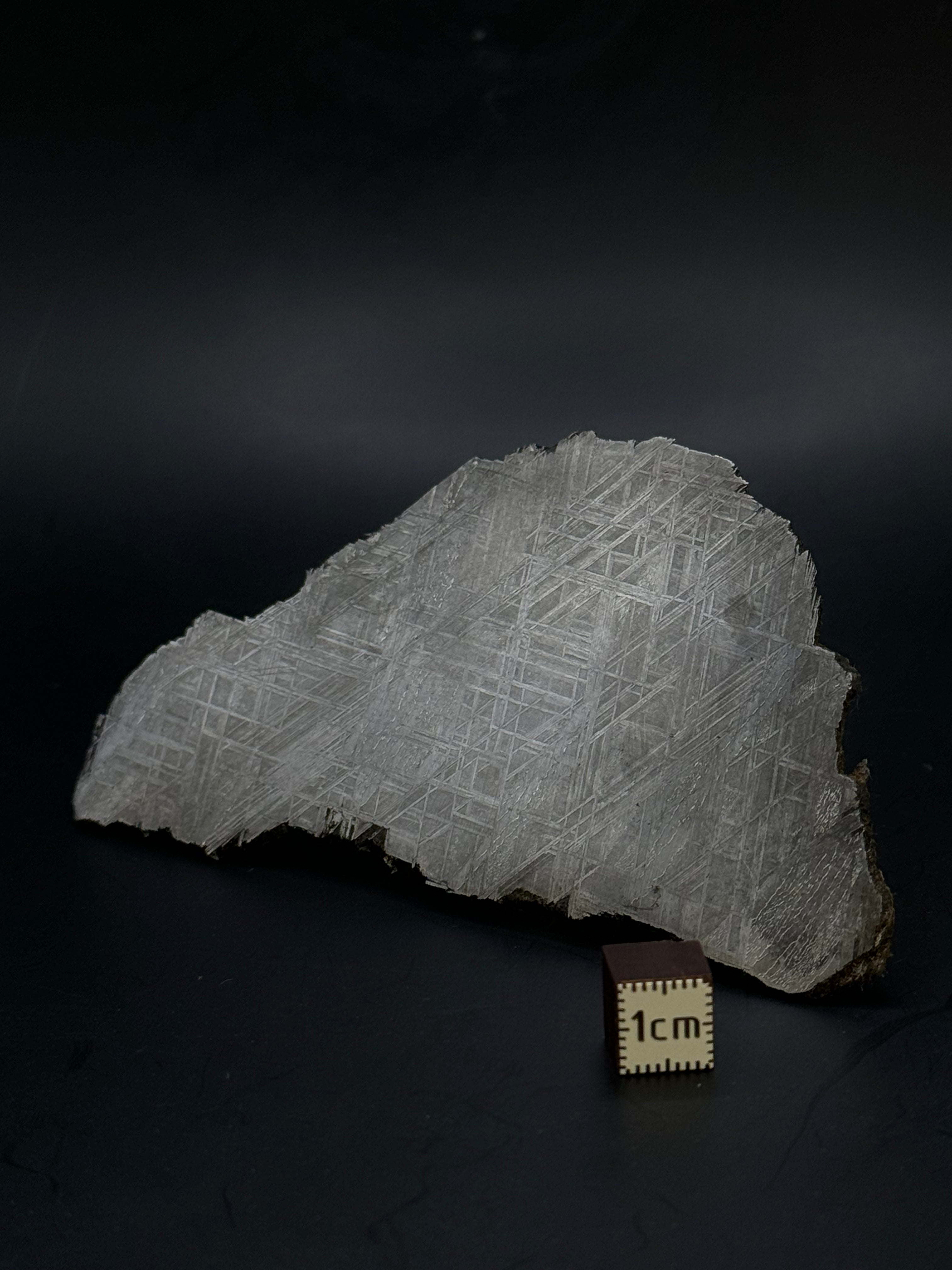 Muonionalusta meteorite, Sweden. 72,02 grams.