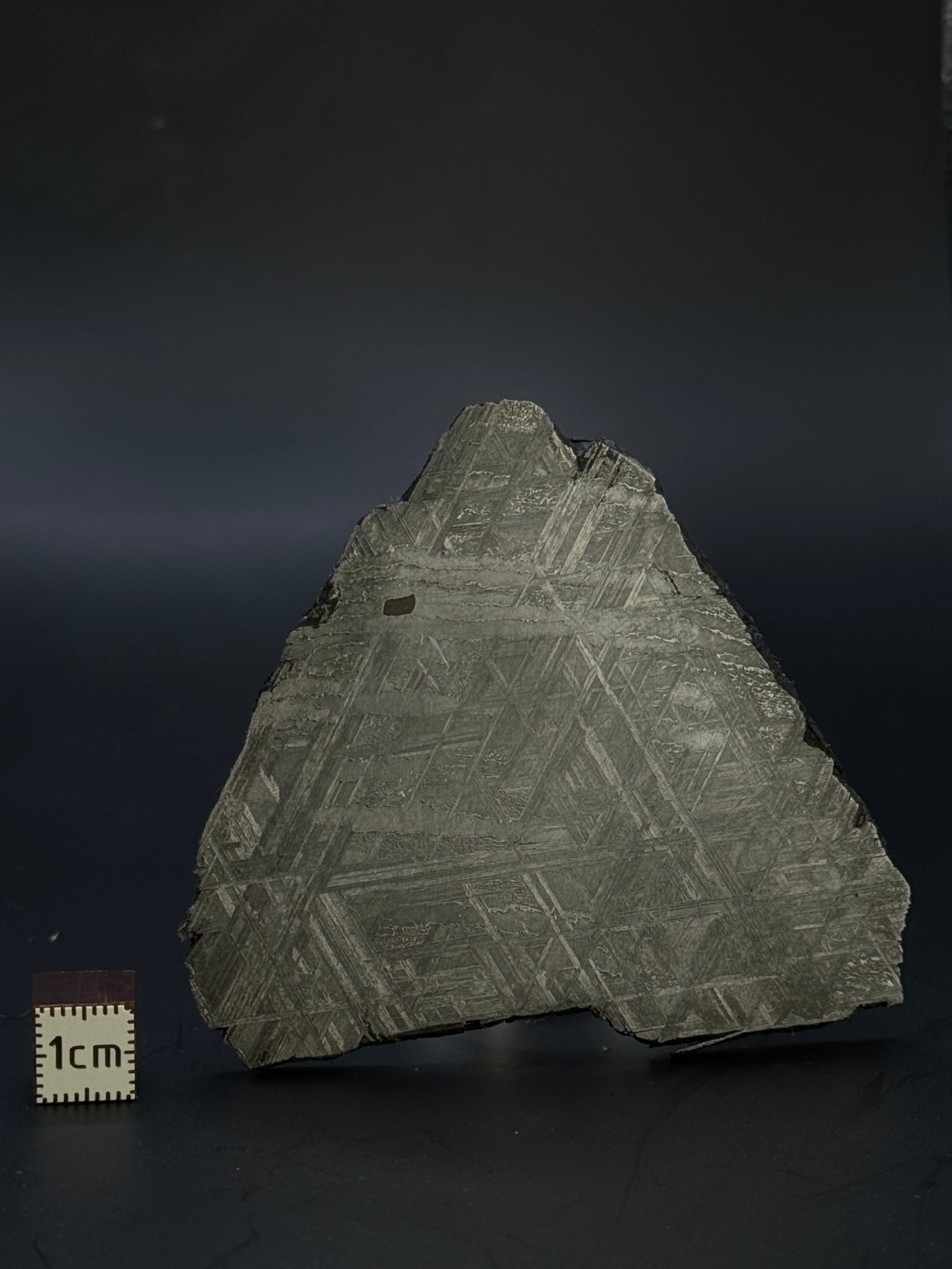 Muonionalusta meteorite, Sweden. 90,74 grams.