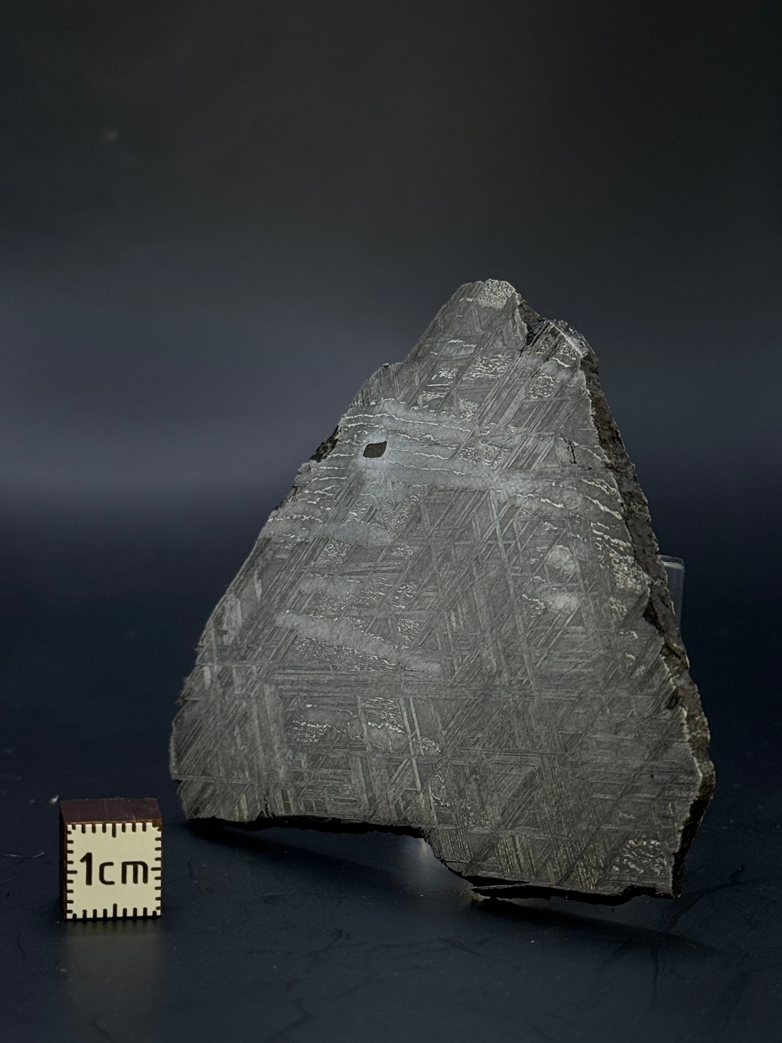 Muonionalusta meteorite, Sweden. 90,74 grams.