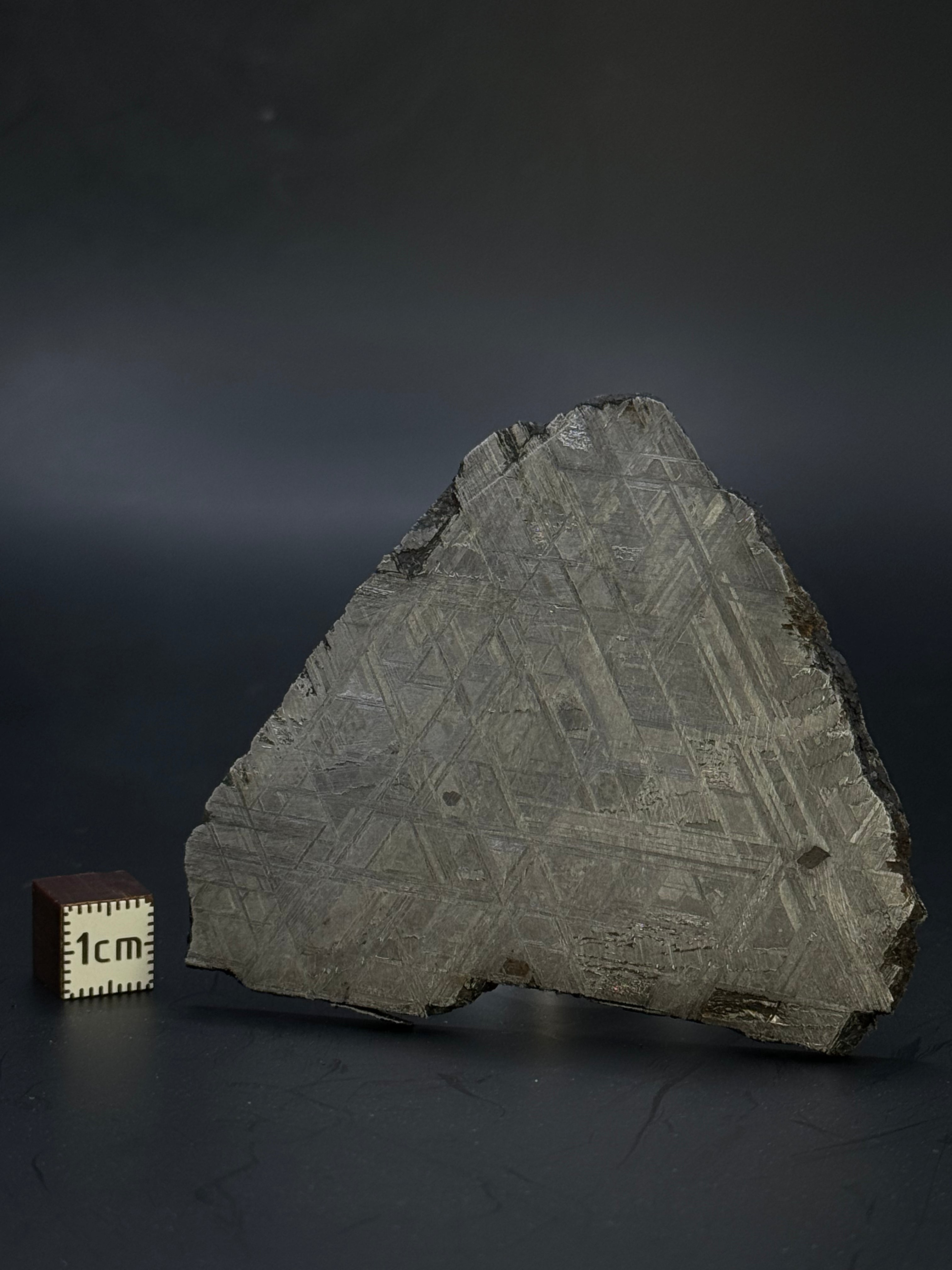 Muonionalusta meteorite, Sweden. 90,74 grams.