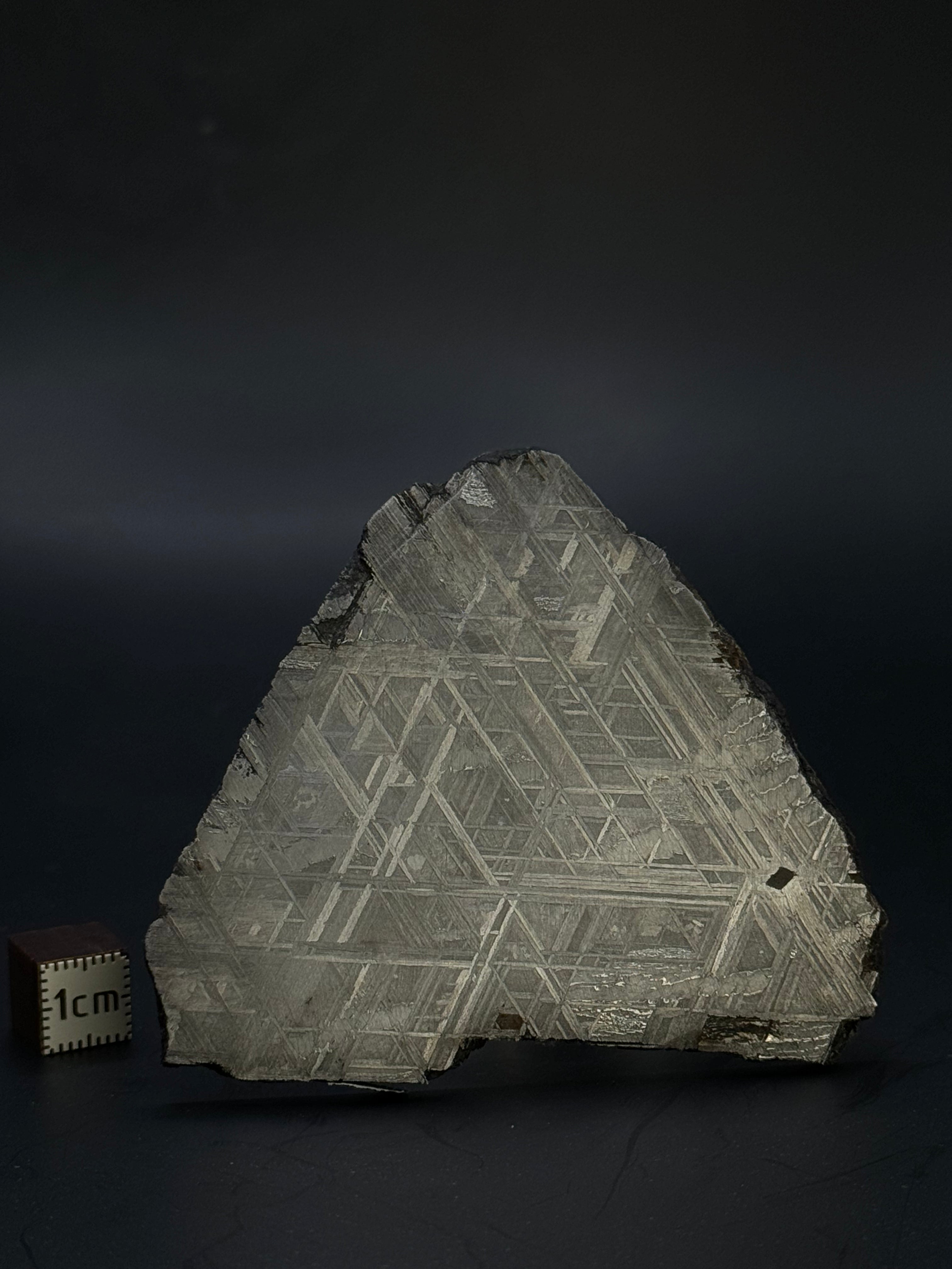 Muonionalusta meteorite, Sweden. 90,74 grams.