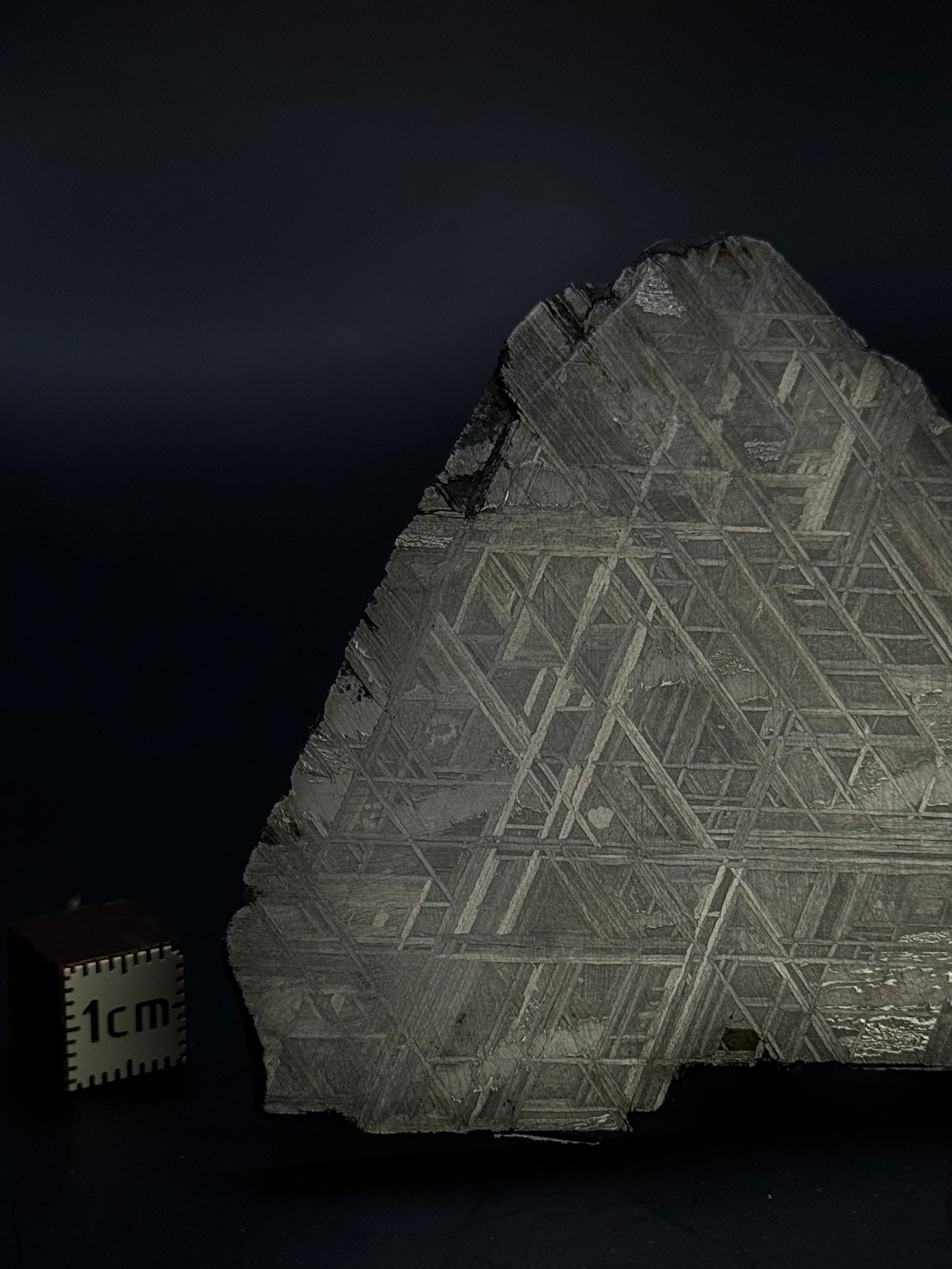 Muonionalusta meteorite, Sweden. 90,74 grams.
