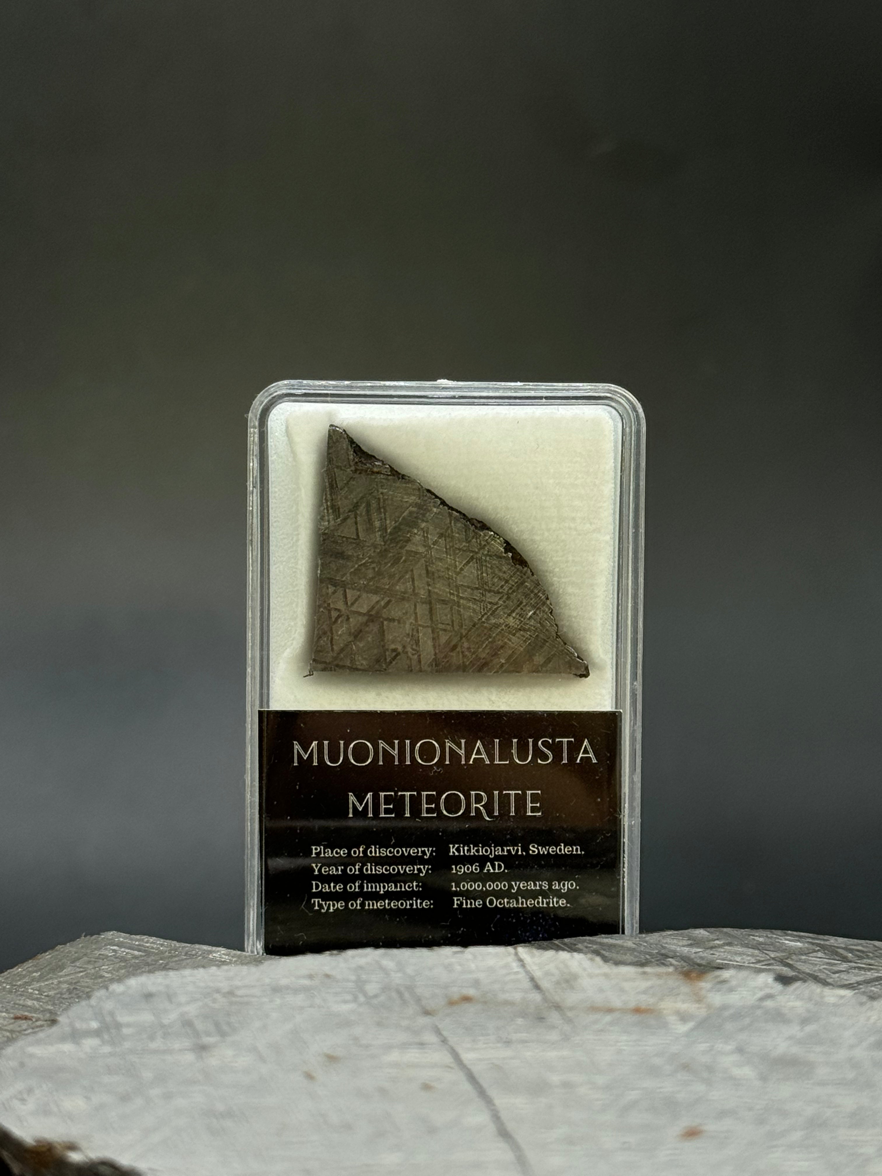 Muonionalusta meteorite, Sweden. 12 grams.