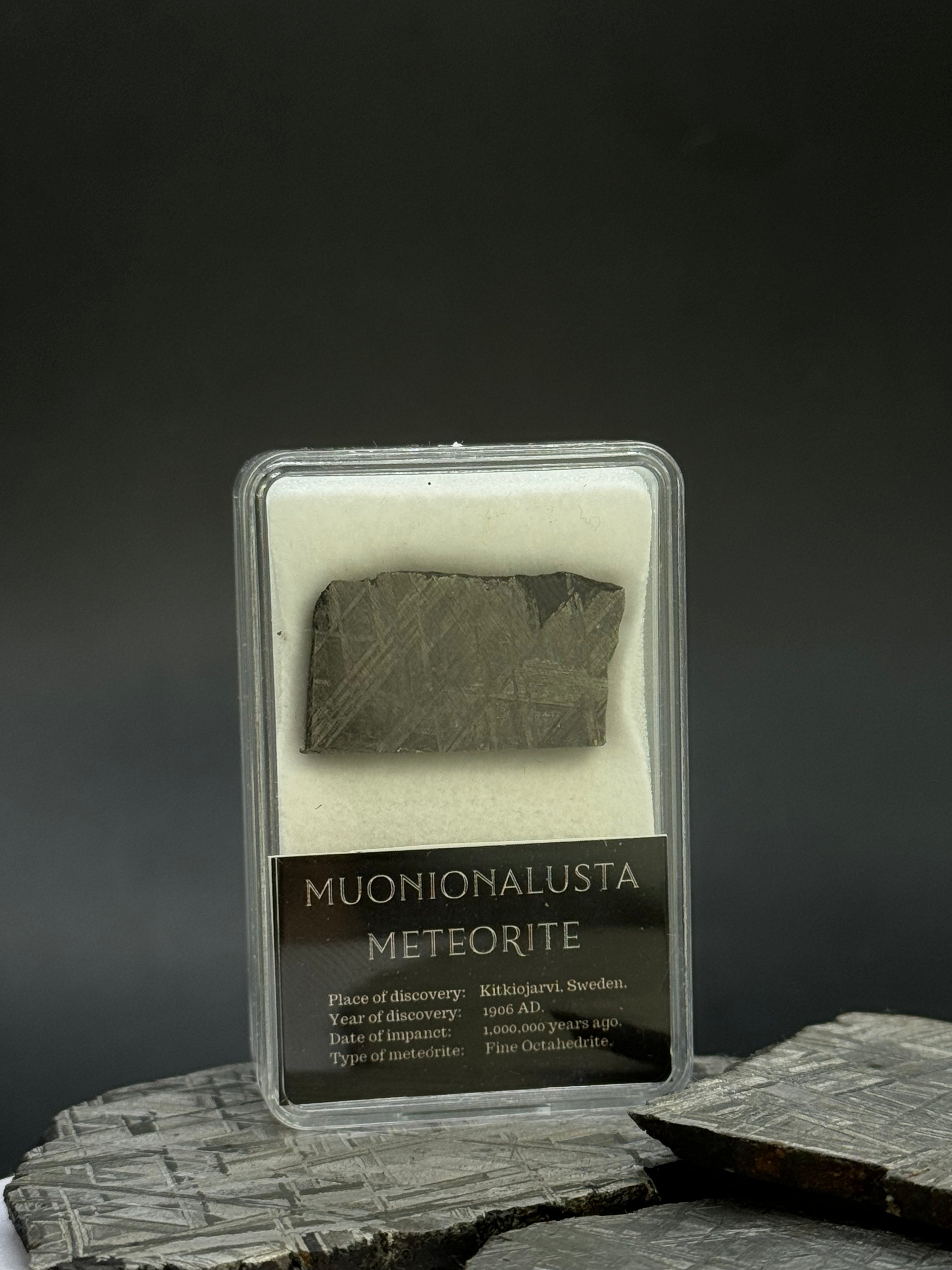 Muonionalusta meteorite, Sweden. 11,29 grams.