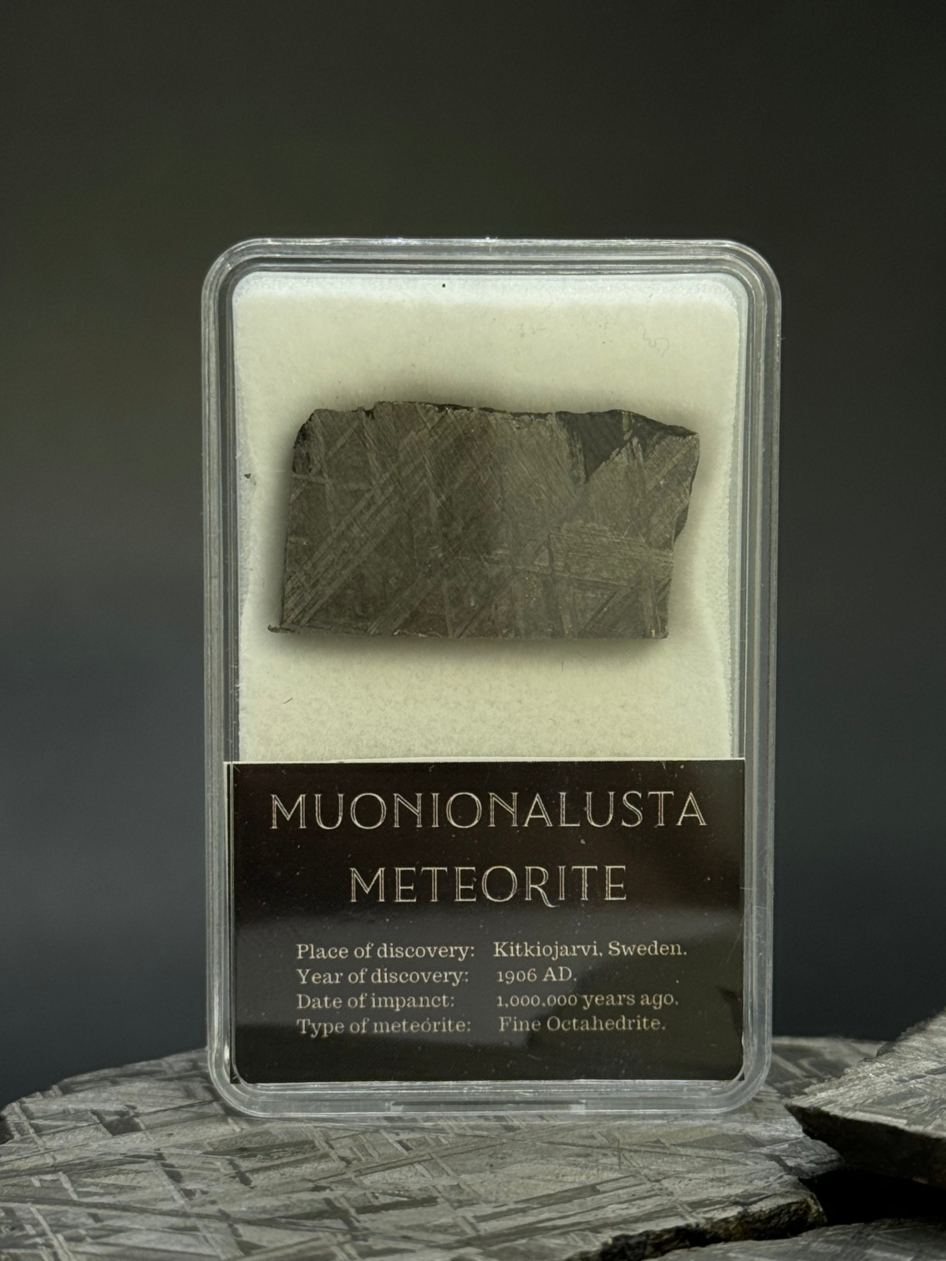 Muonionalusta meteorite, Sweden. 11,29 grams.