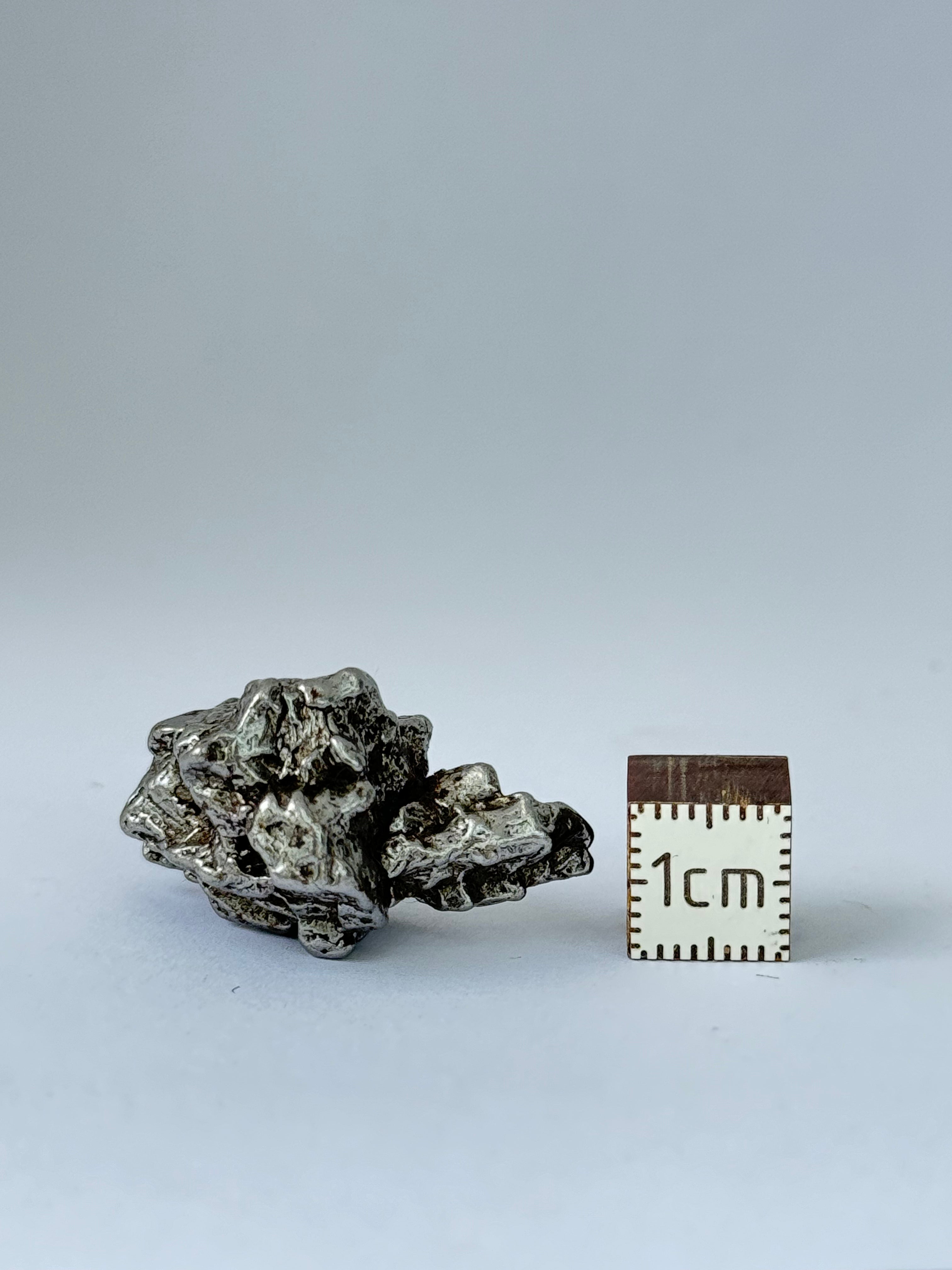 Campo del Cielo, South America. 16,70 grams.