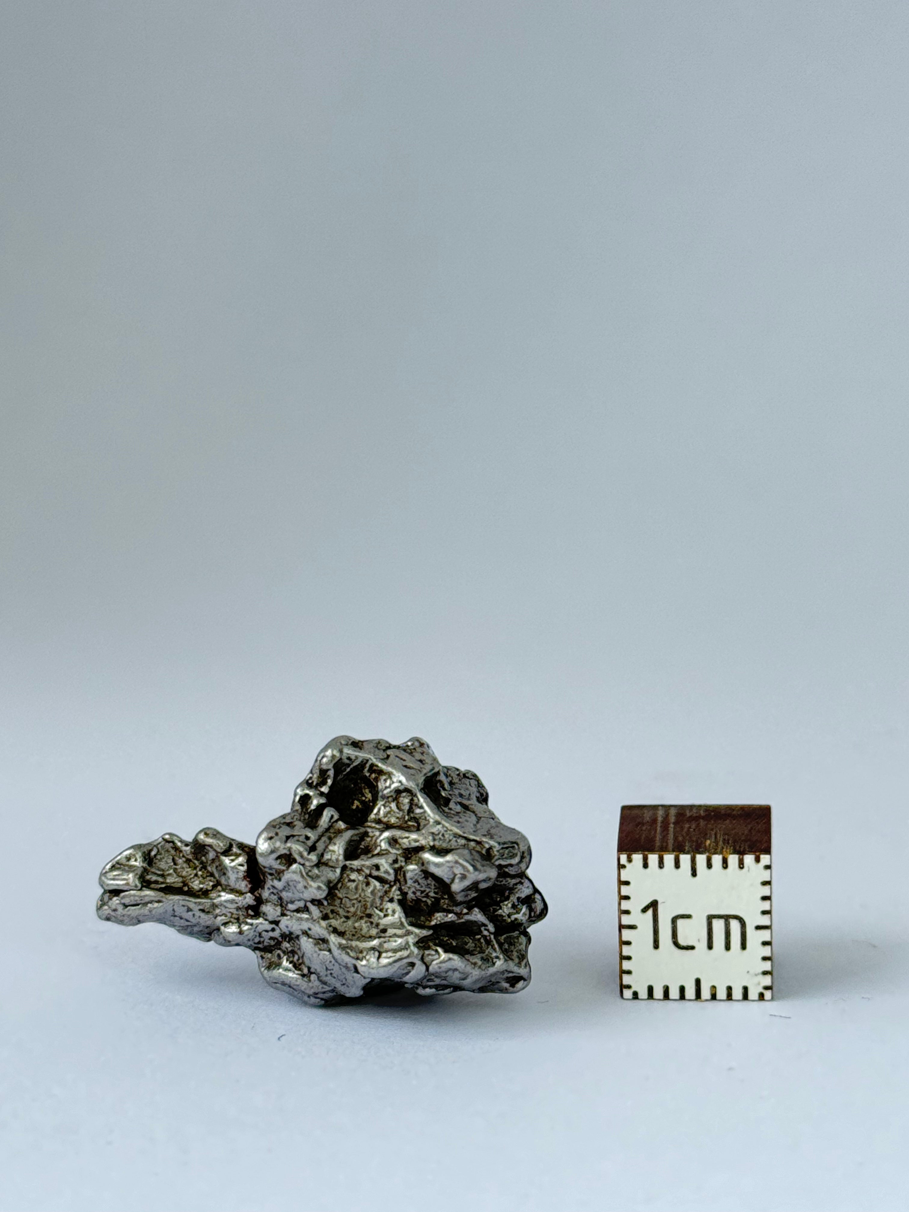Campo del Cielo, South America. 16,70 grams.