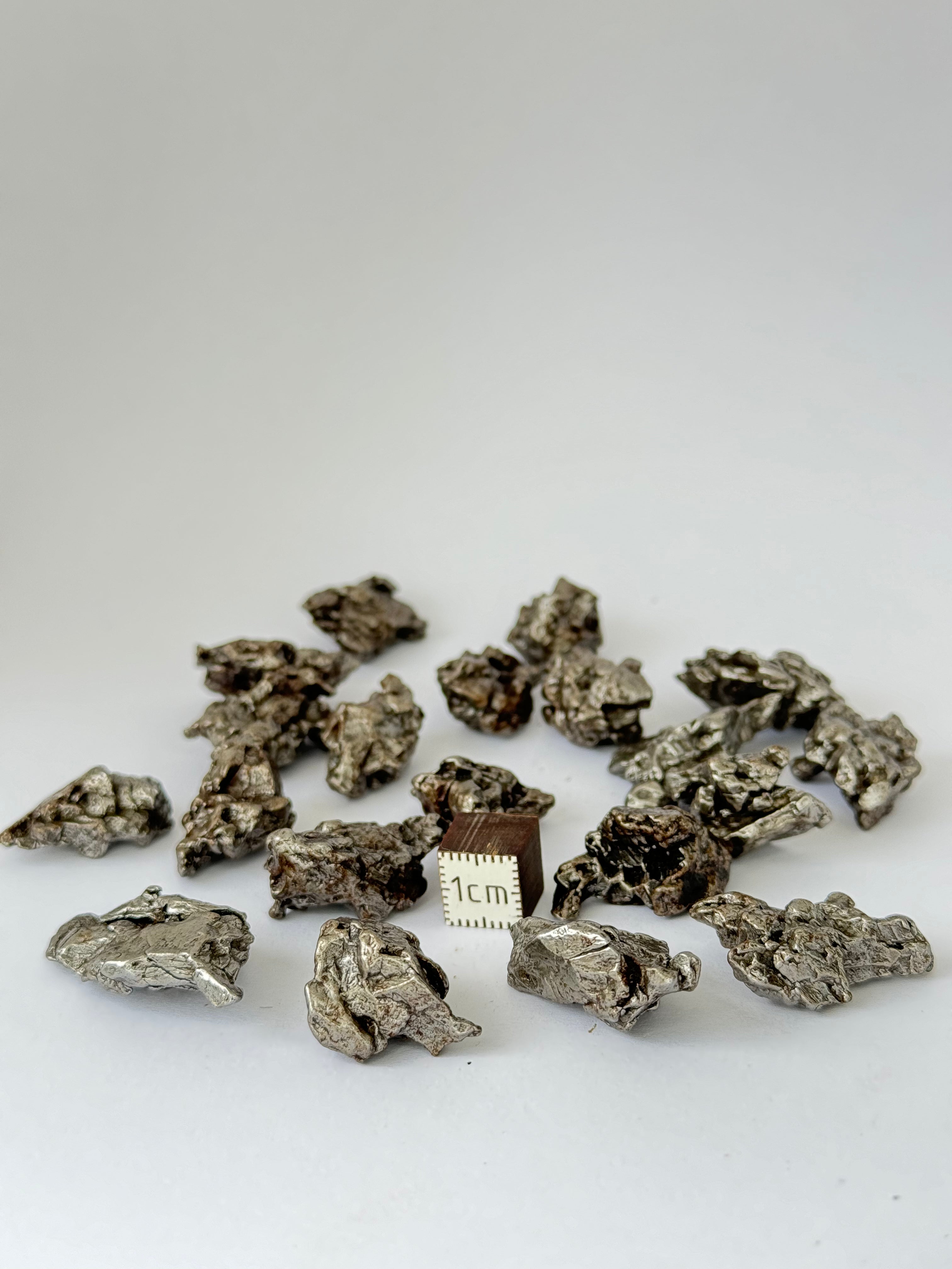 Campo del Cielo, South America. 170,64 grams lot.