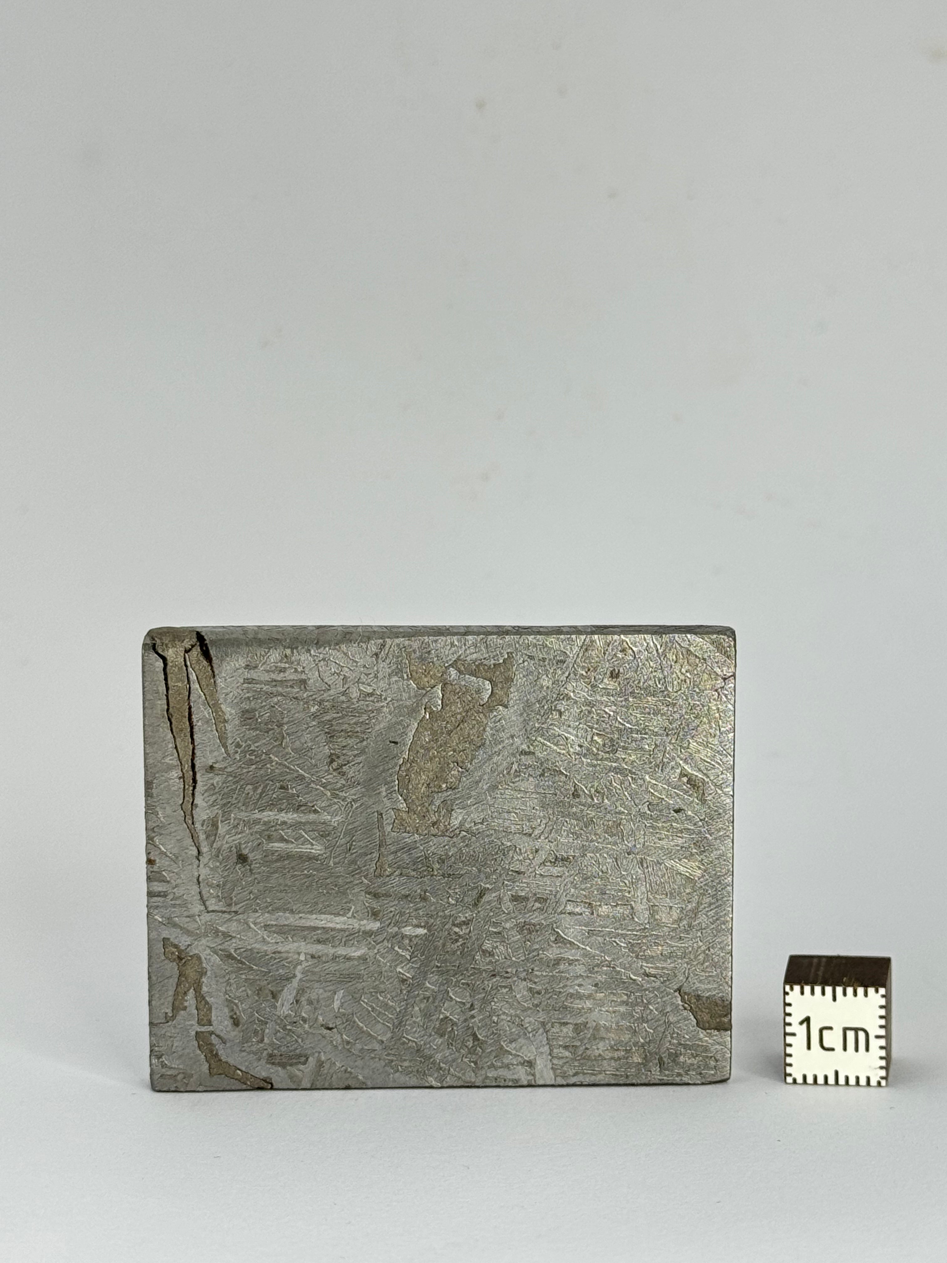 Aletai Meteorite, Gobi Desert, China. 91,86 grams.