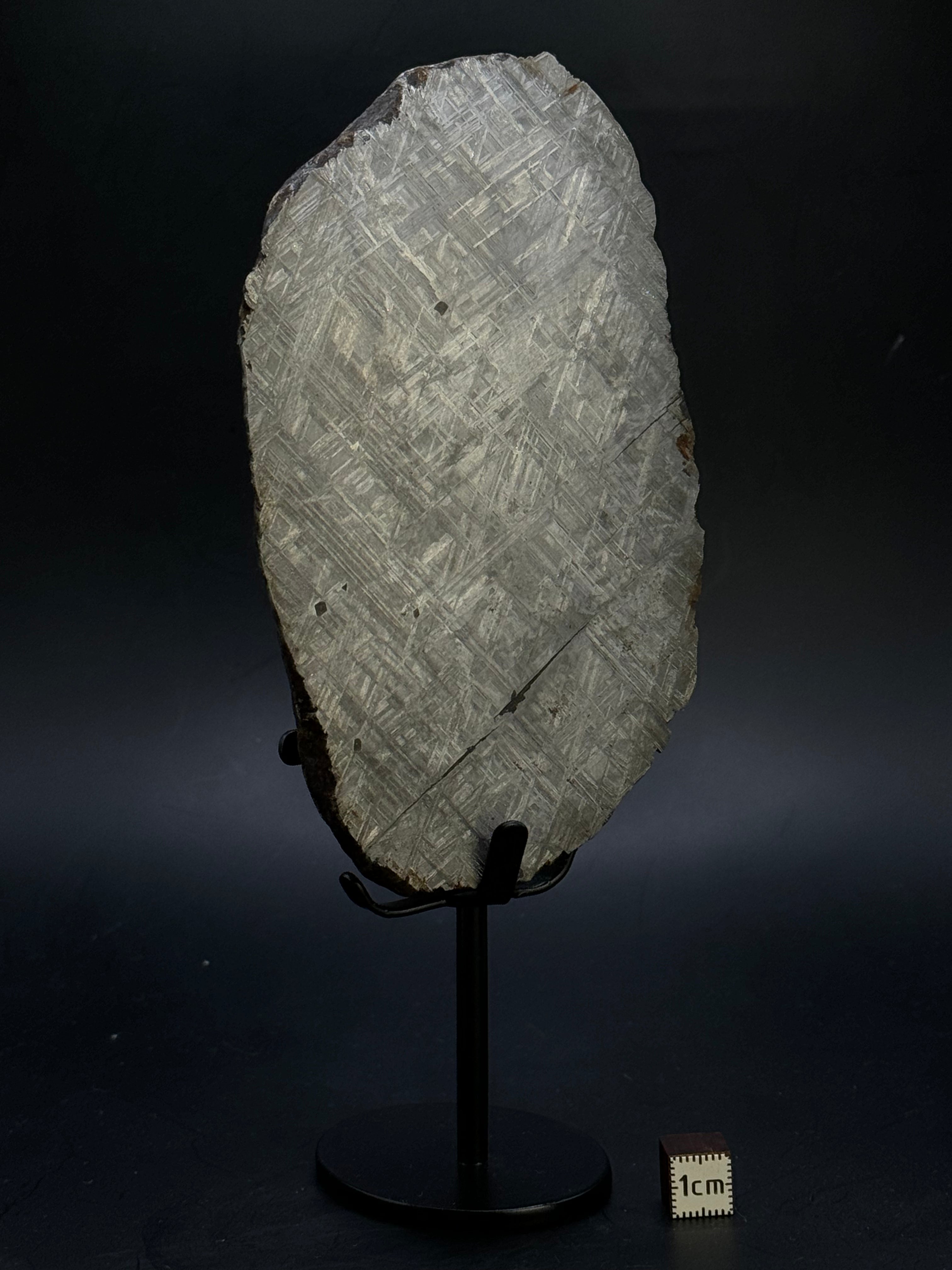 MUONIONALUSTA METEORITE, SWEDEN. 865 GRAMS END-CUT.