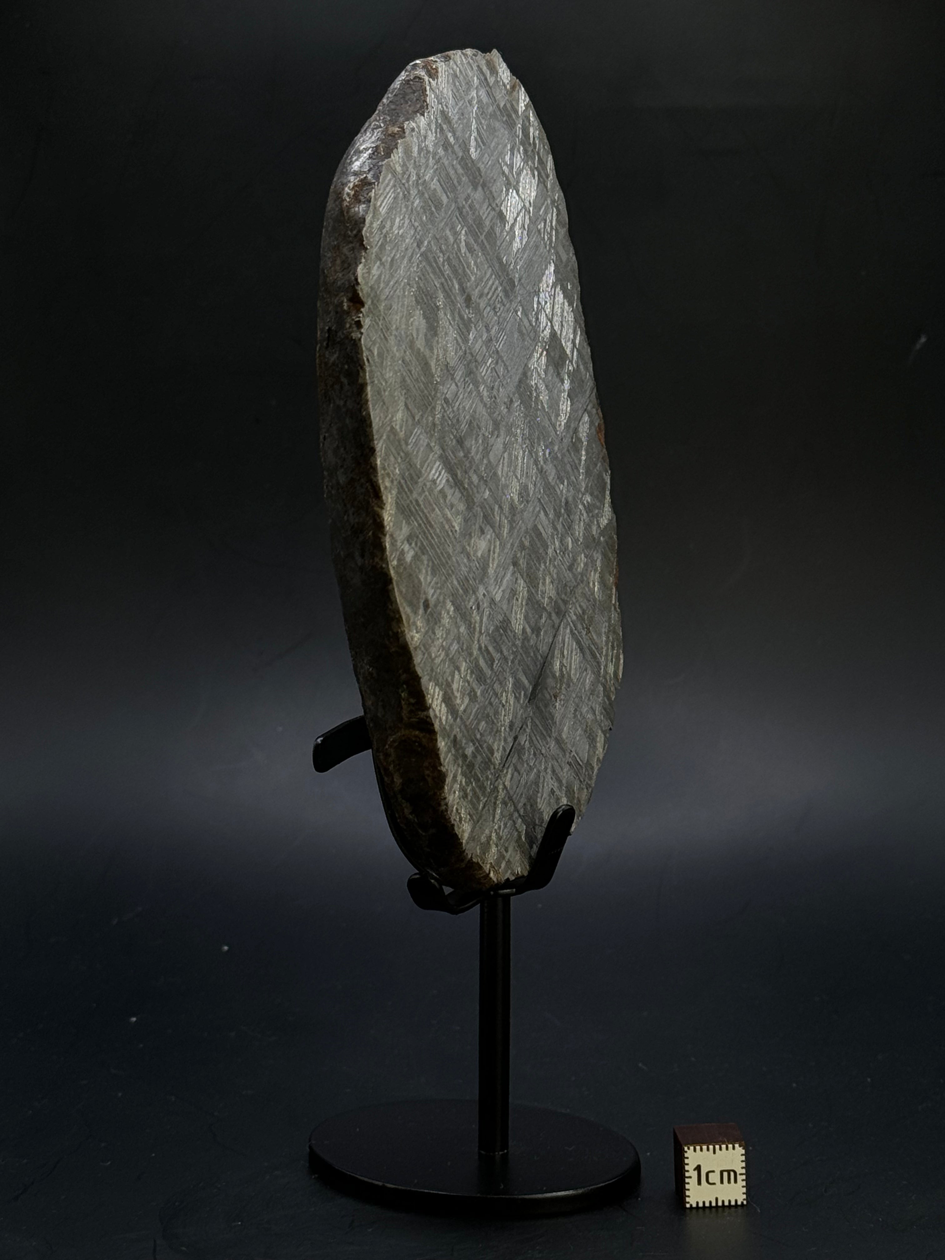 MUONIONALUSTA METEORITE, SWEDEN. 865 GRAMS END-CUT.
