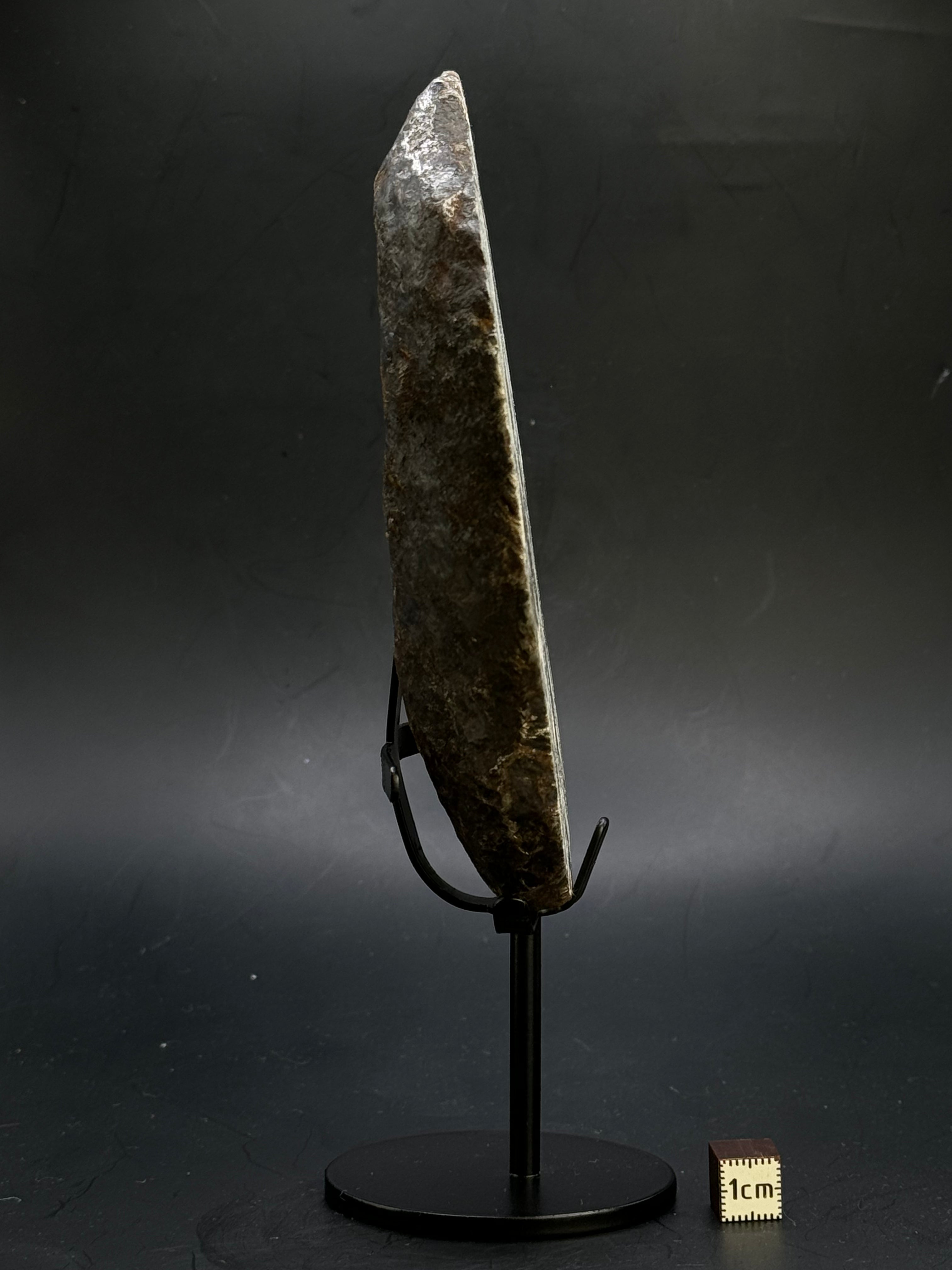 MUONIONALUSTA METEORITE, SWEDEN. 865 GRAMS END-CUT.