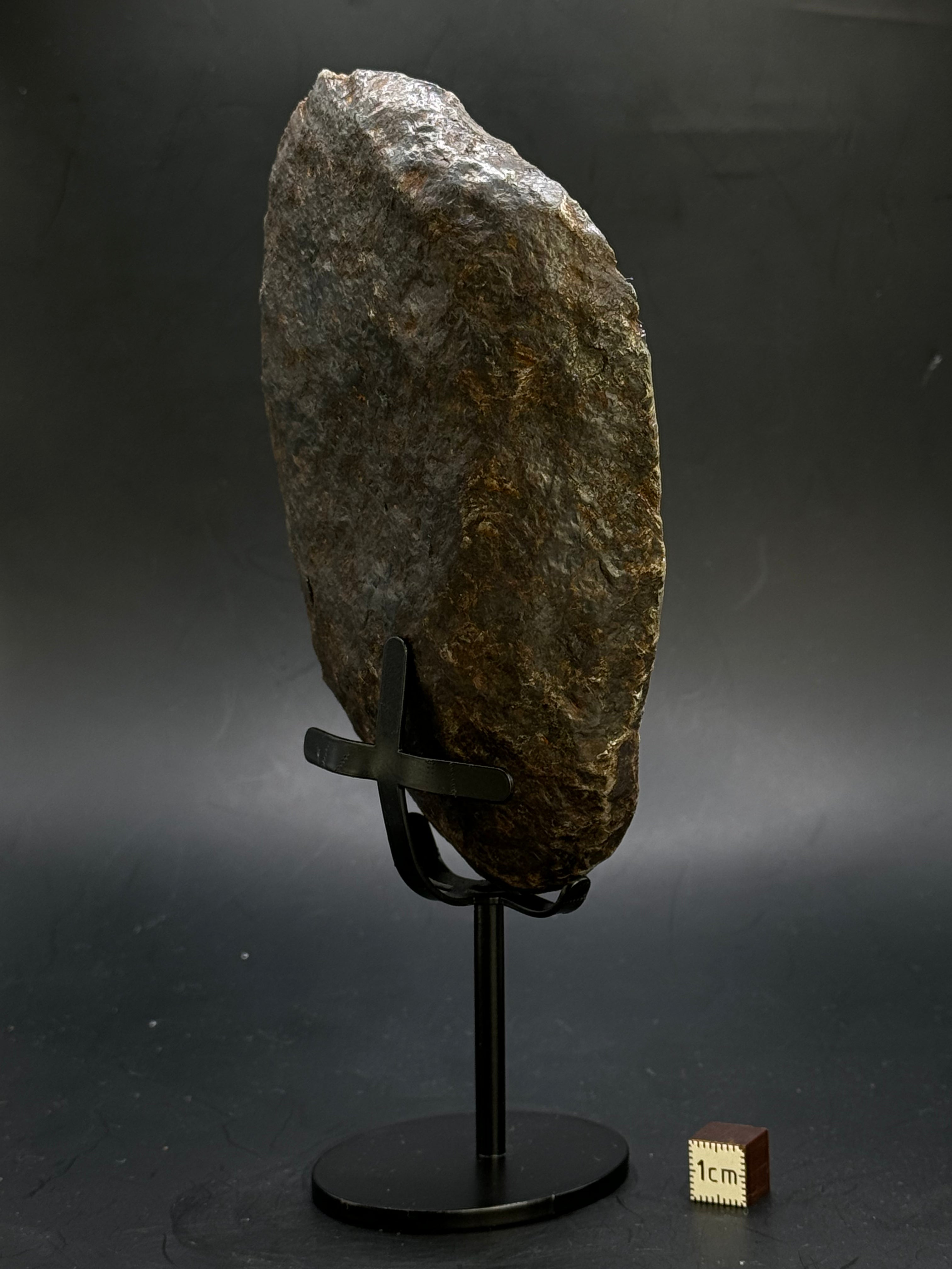 MUONIONALUSTA METEORITE, SWEDEN. 865 GRAMS END-CUT.