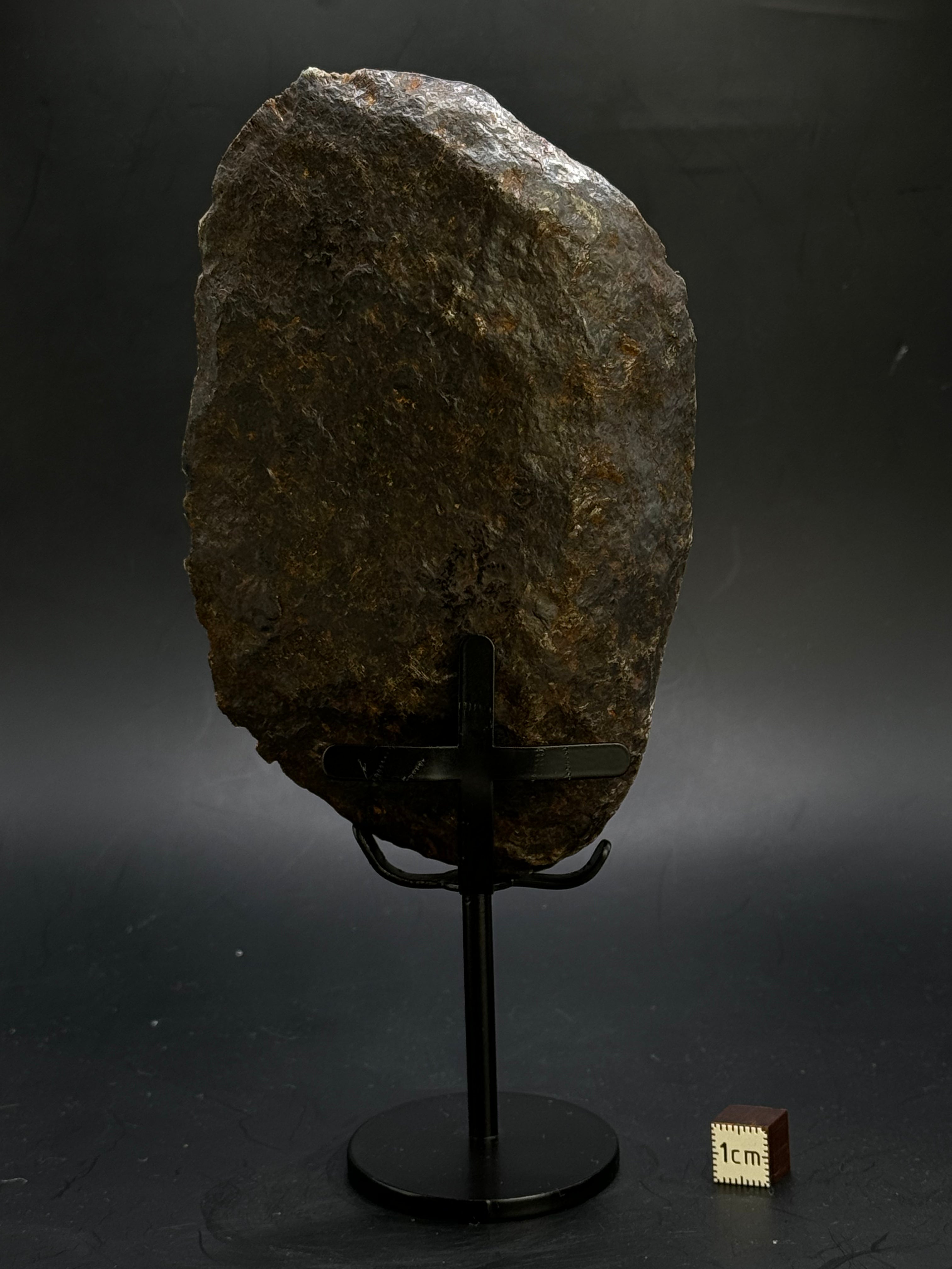 MUONIONALUSTA METEORITE, SWEDEN. 865 GRAMS END-CUT.